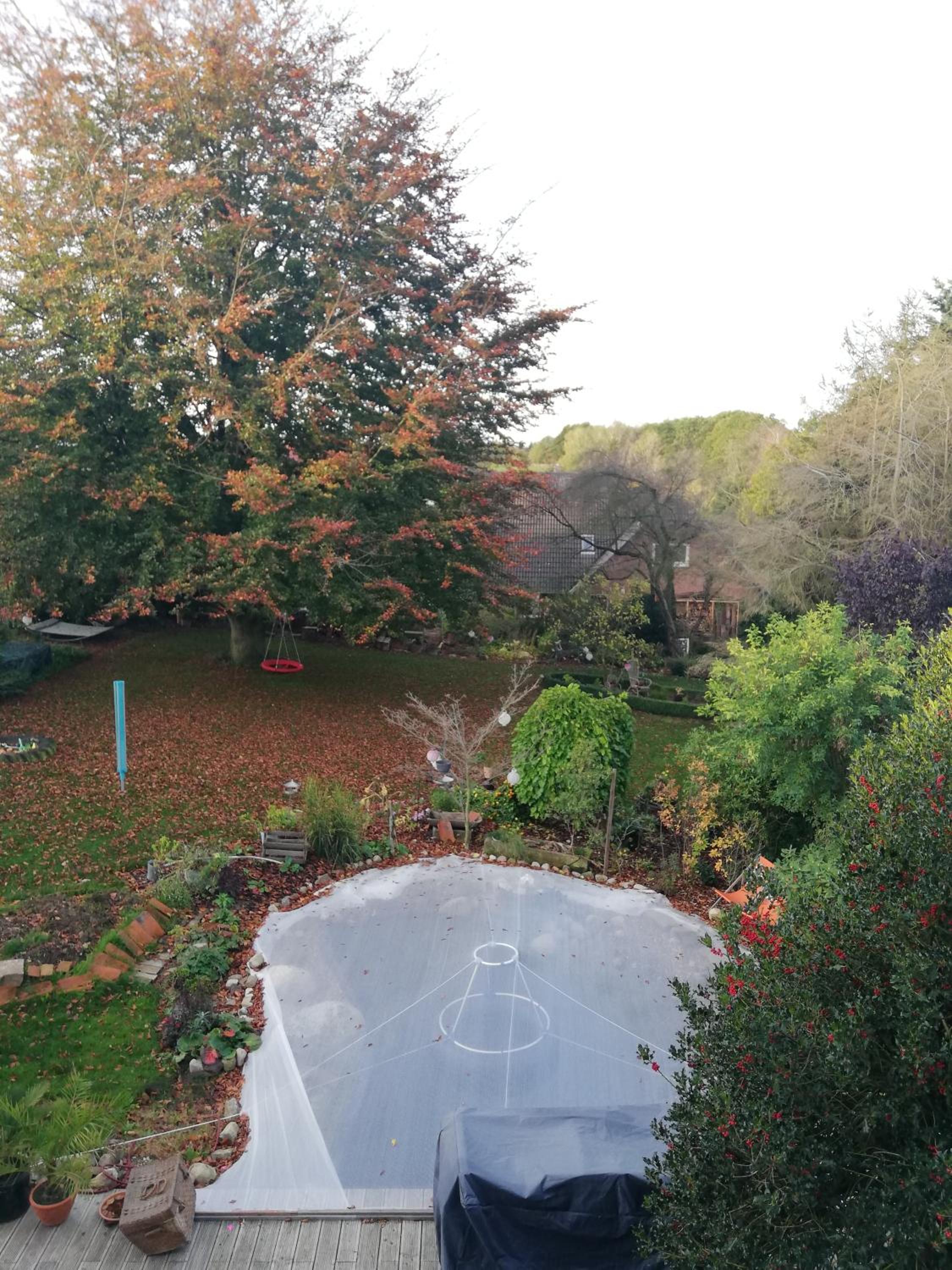 Wintergarten Am Thingplatz en Rinteln — other