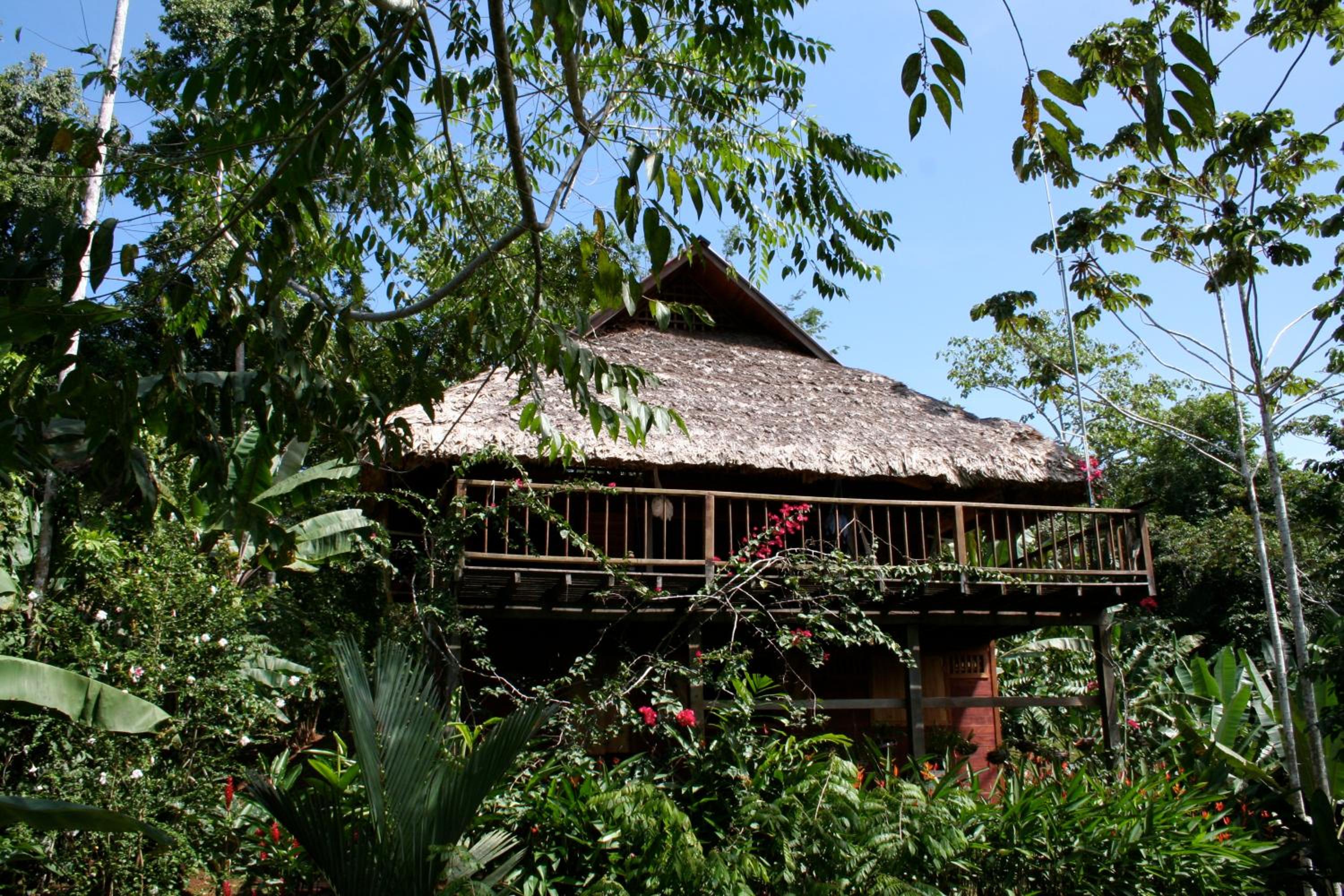 La Ceiba Reserva Natural view 5