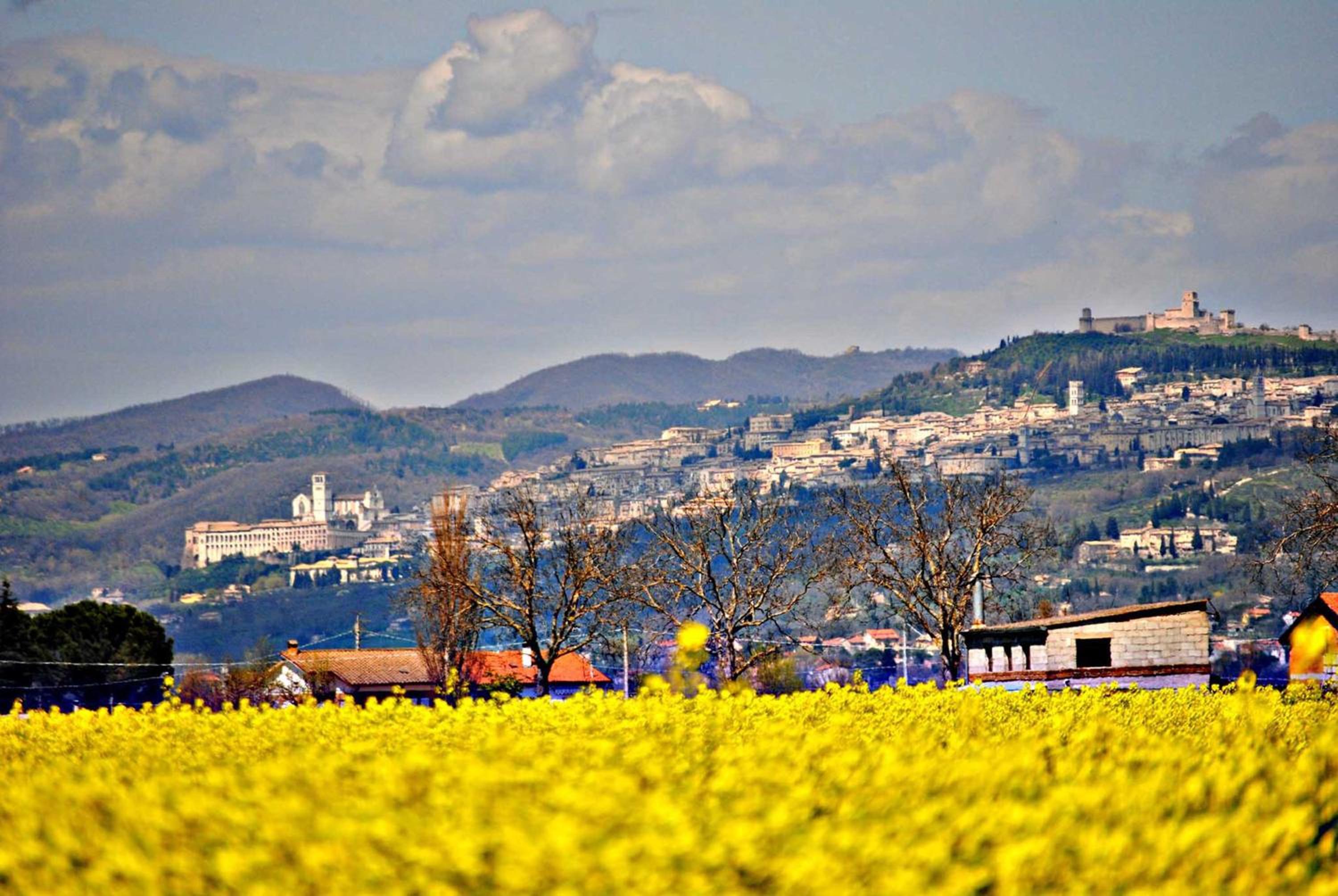 Agriturismo Il Barco