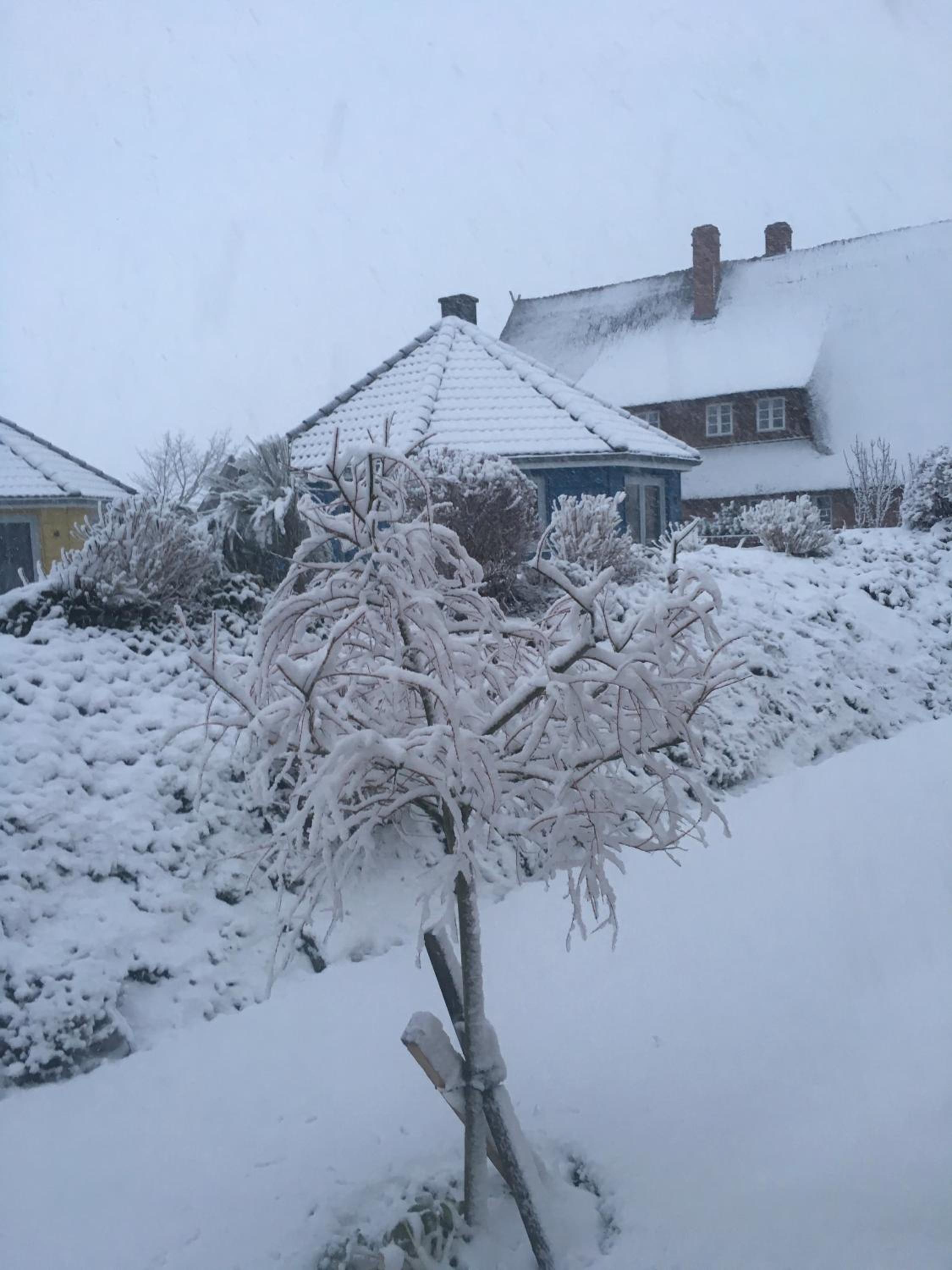 Roter Ostseebungalow