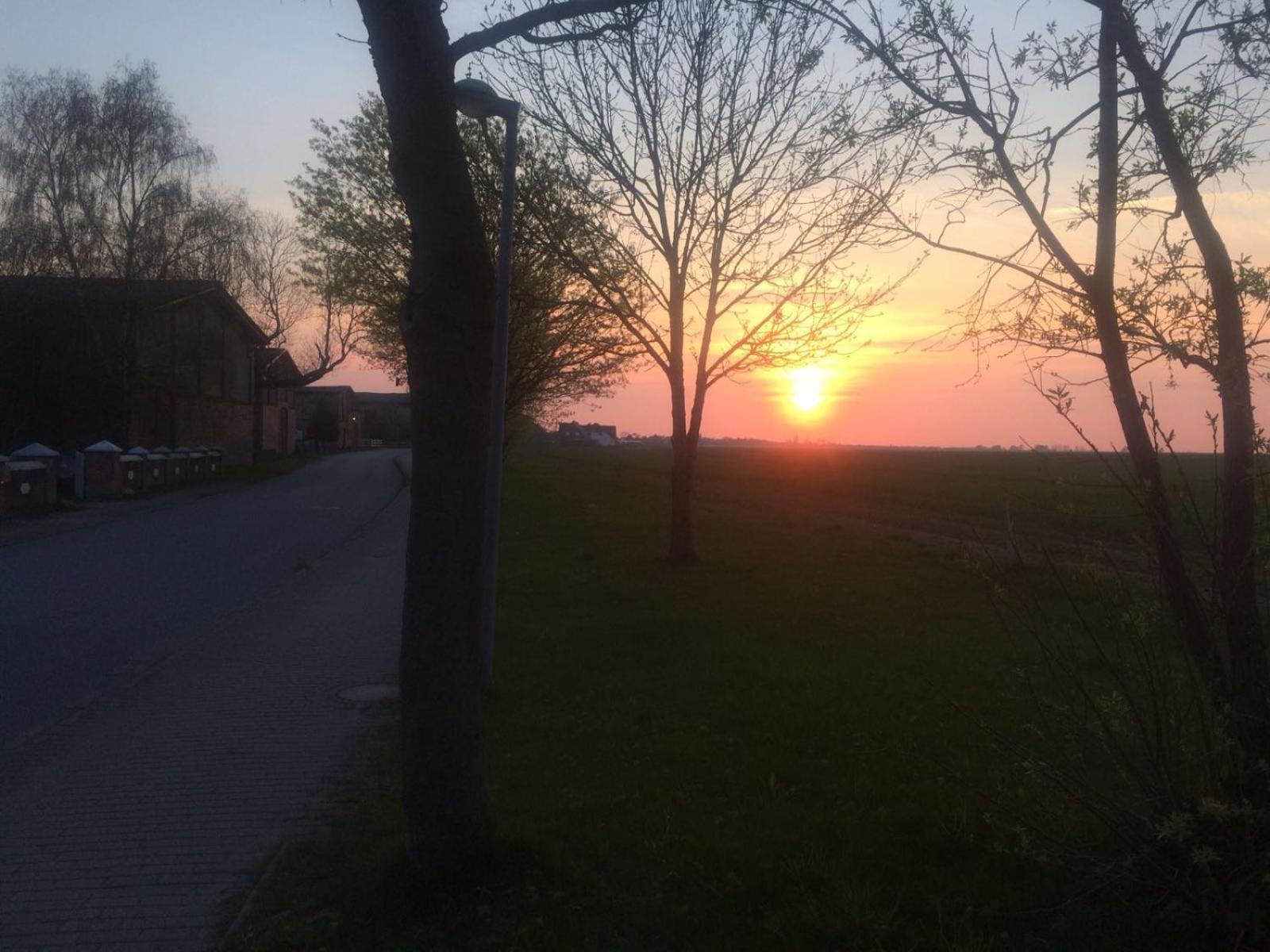 Roter Ostseebungalow