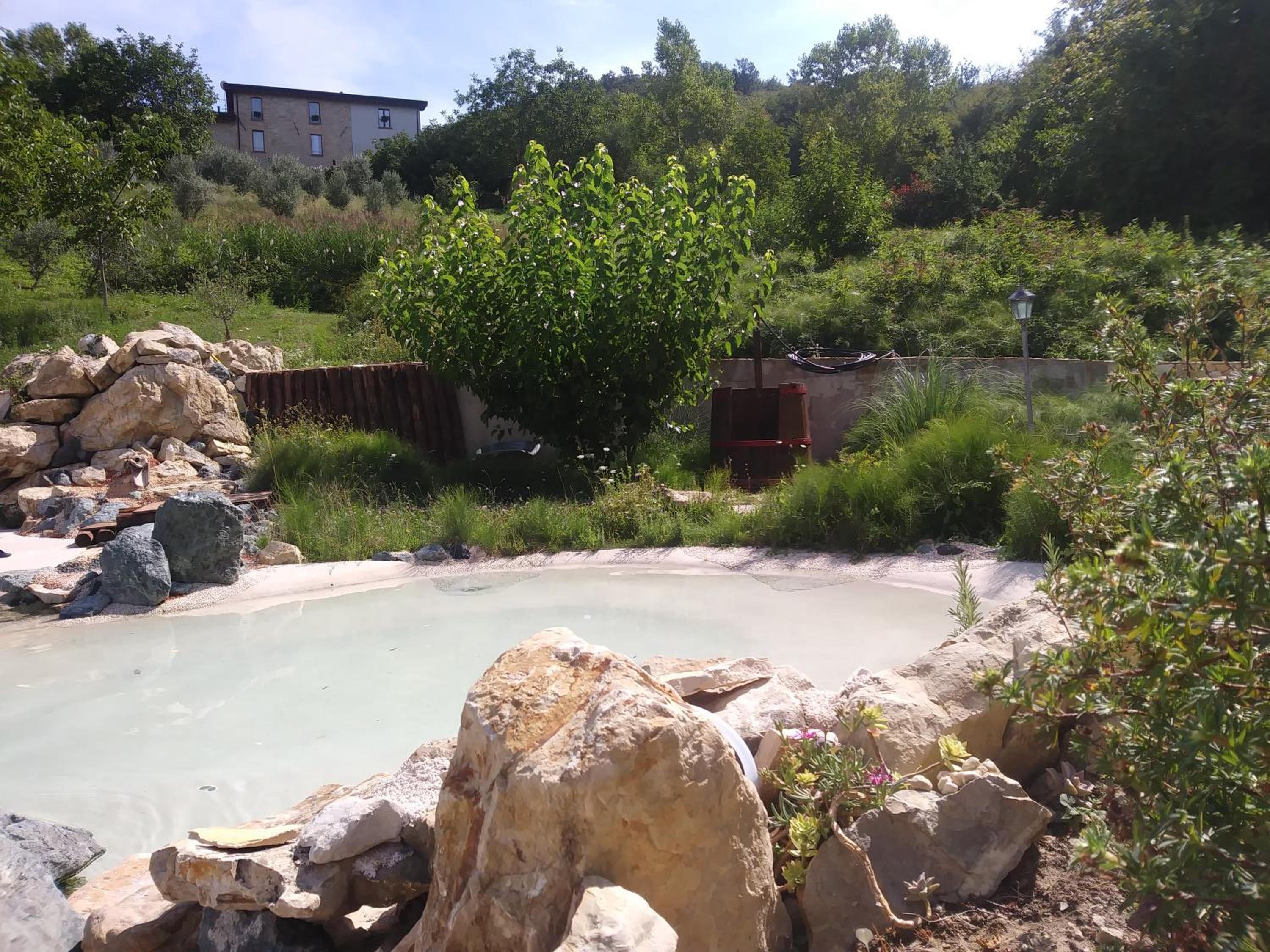 Photo 8