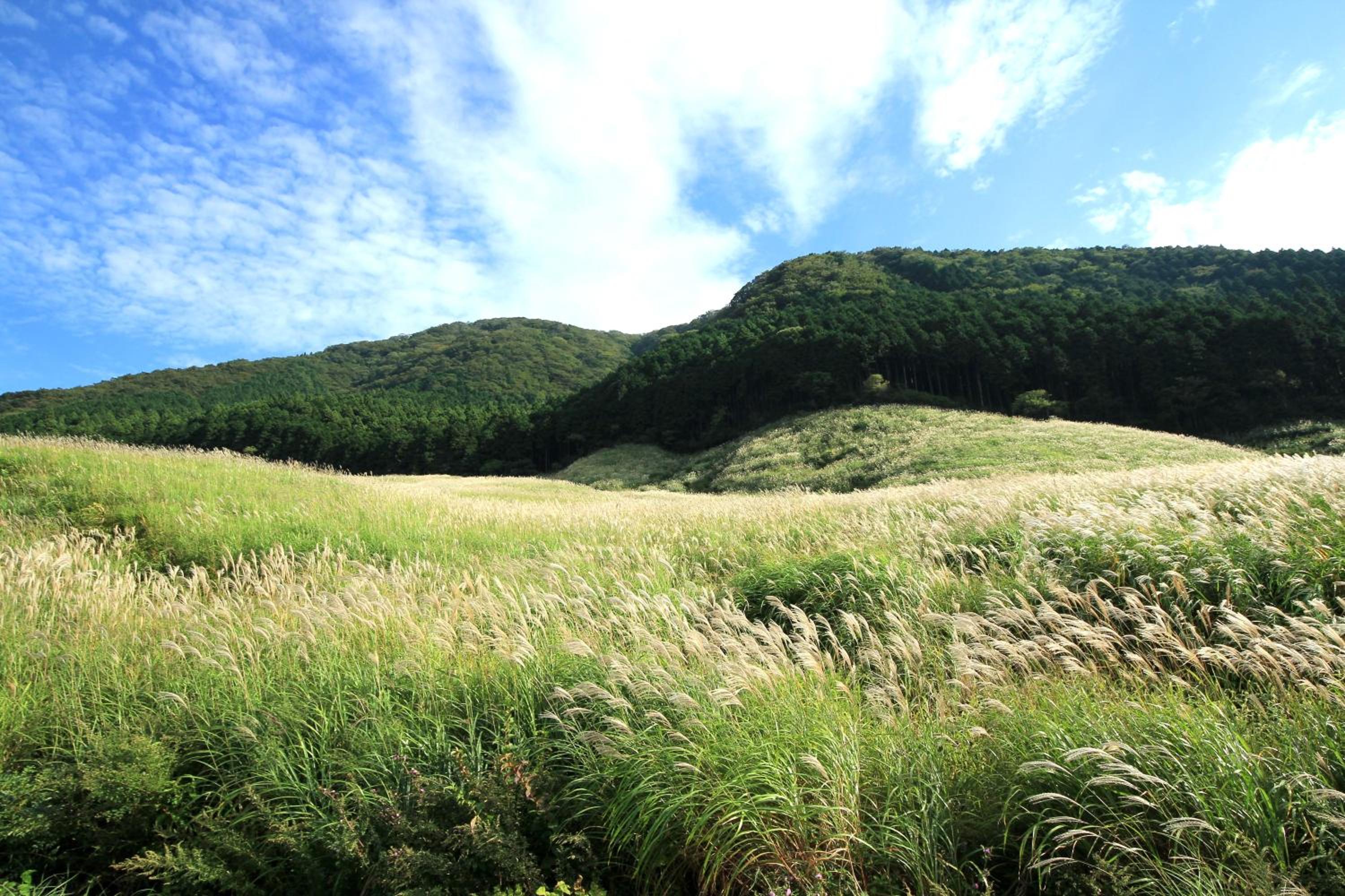 Hakone Fuga - Adult Only