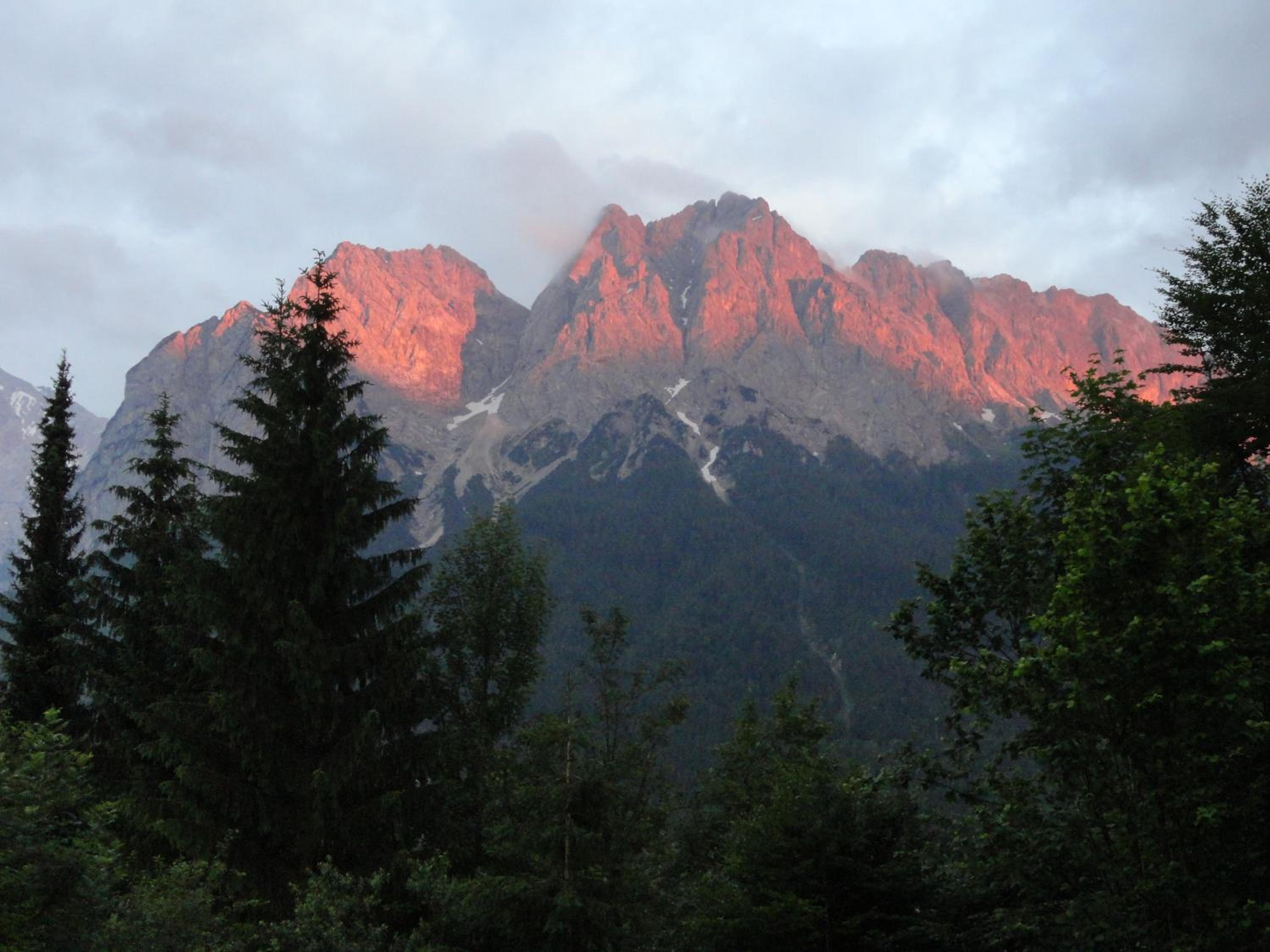 Photo 44