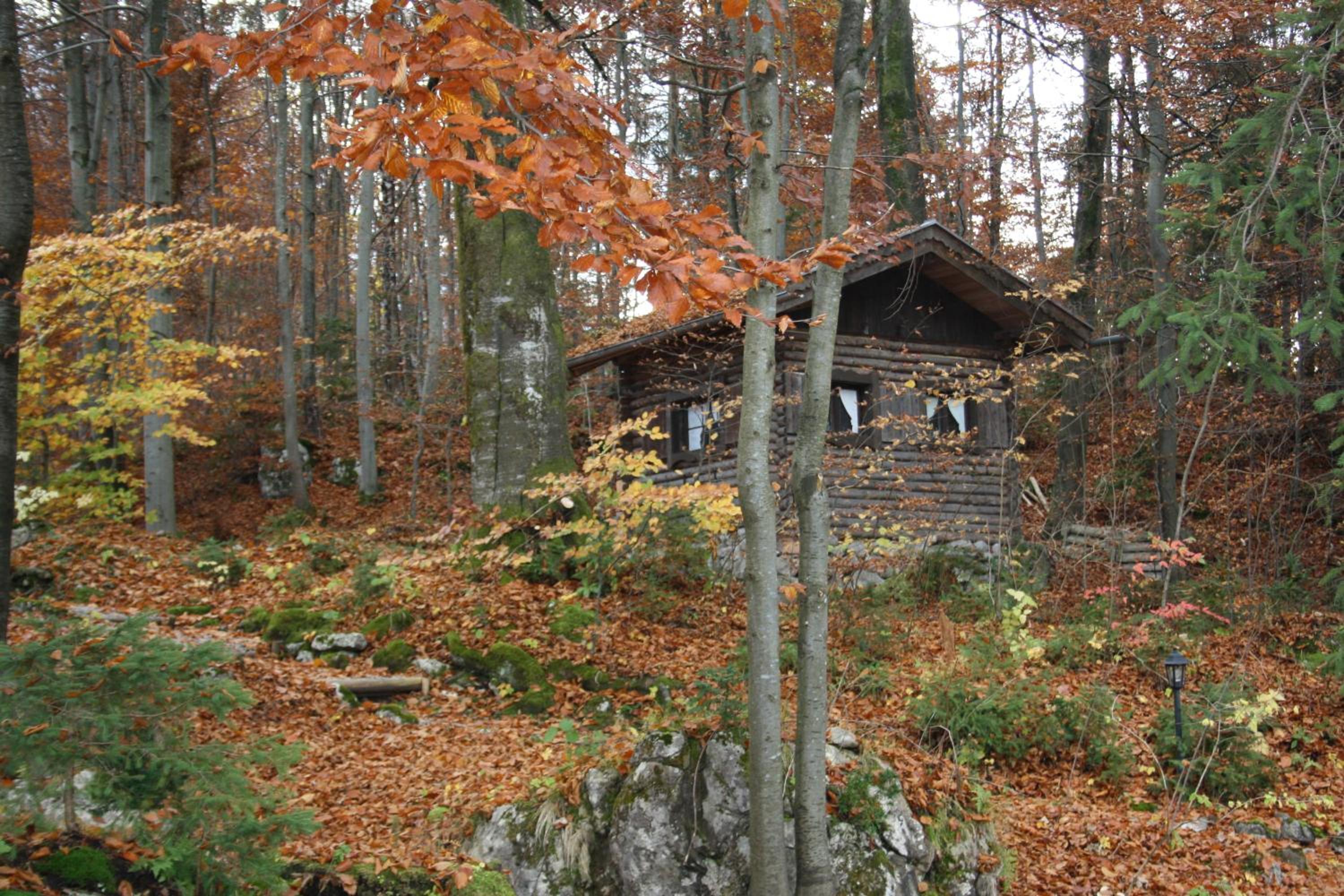 Photo 36
