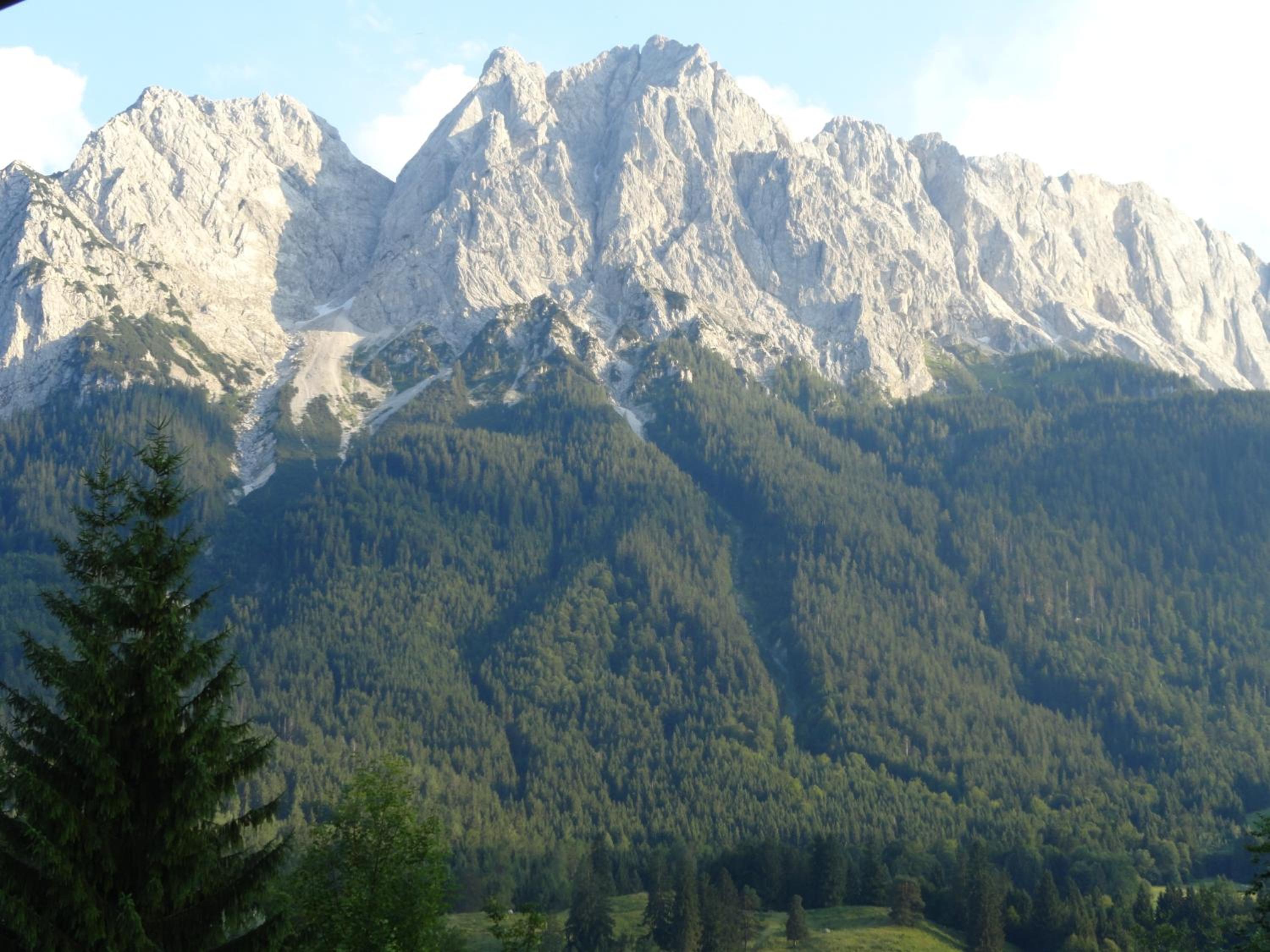 Photo 42