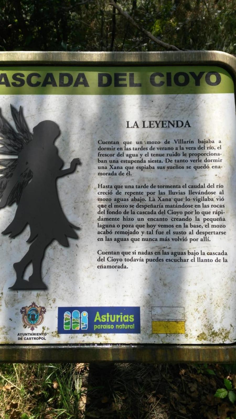 Apartamentos lagunas photo 4