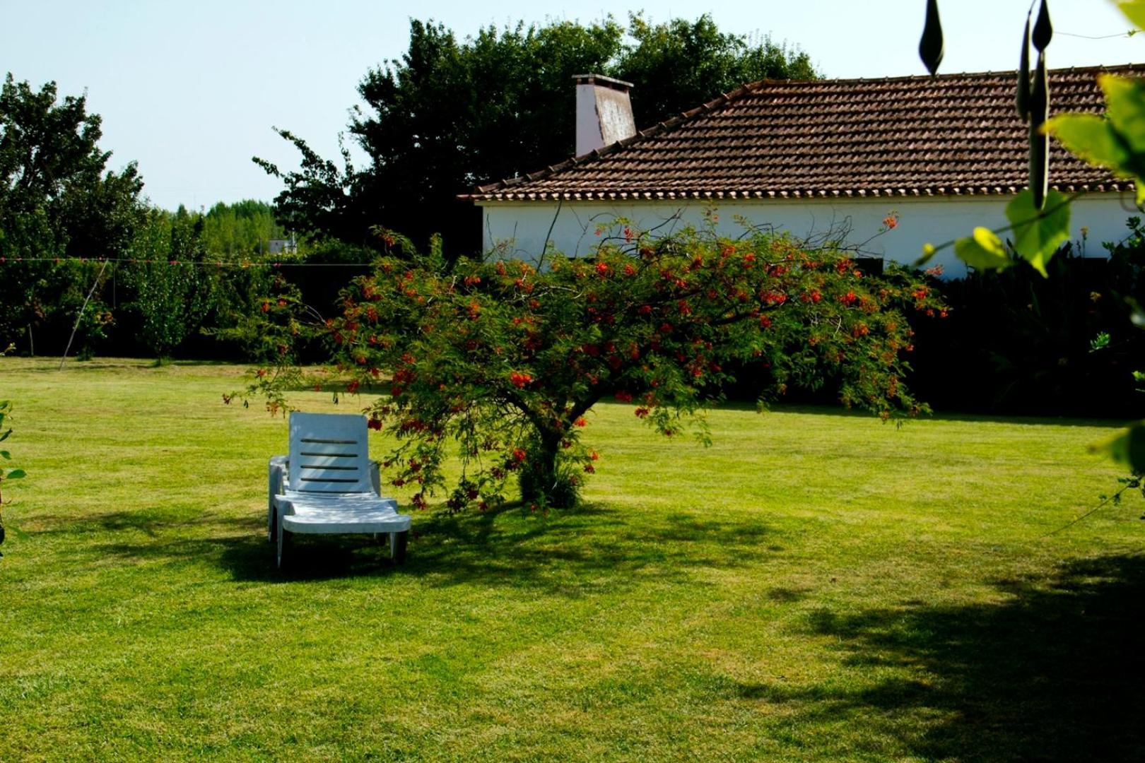 Ribatejo Villa view 5