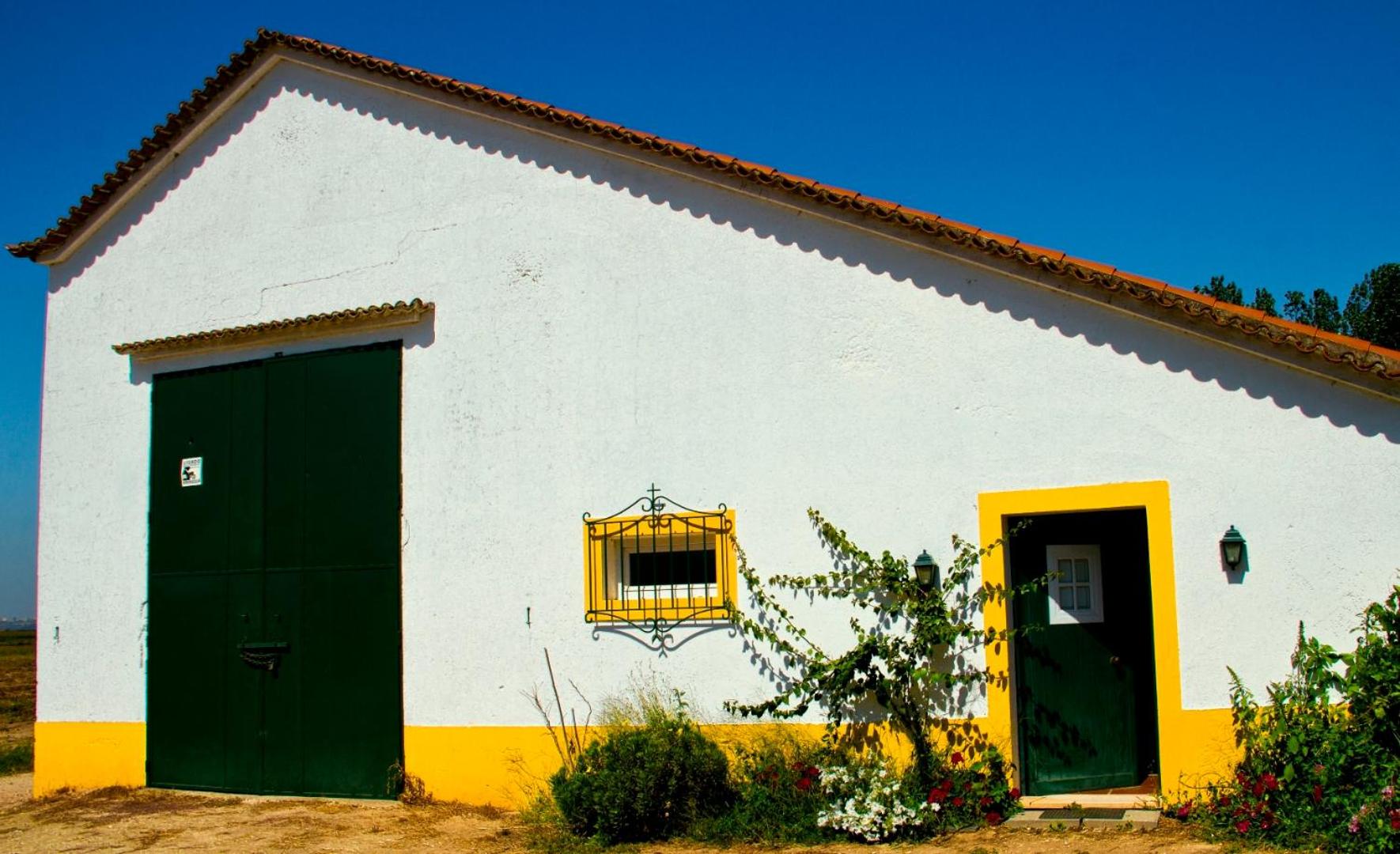 Ribatejo Villa view 3