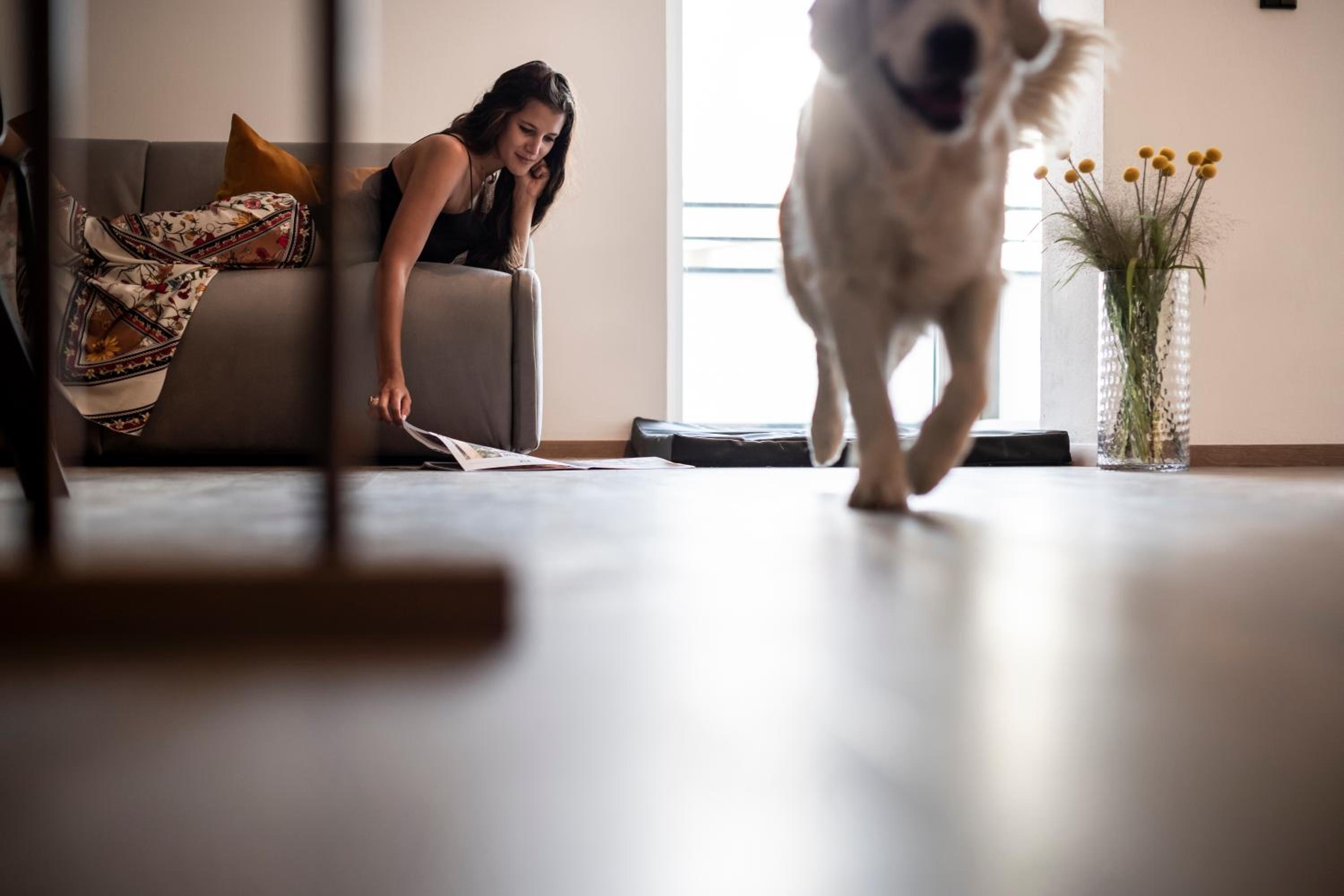 Sambucus Apartments -Premium Apartments for You and Your Dog view 5