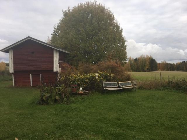Photo 39
