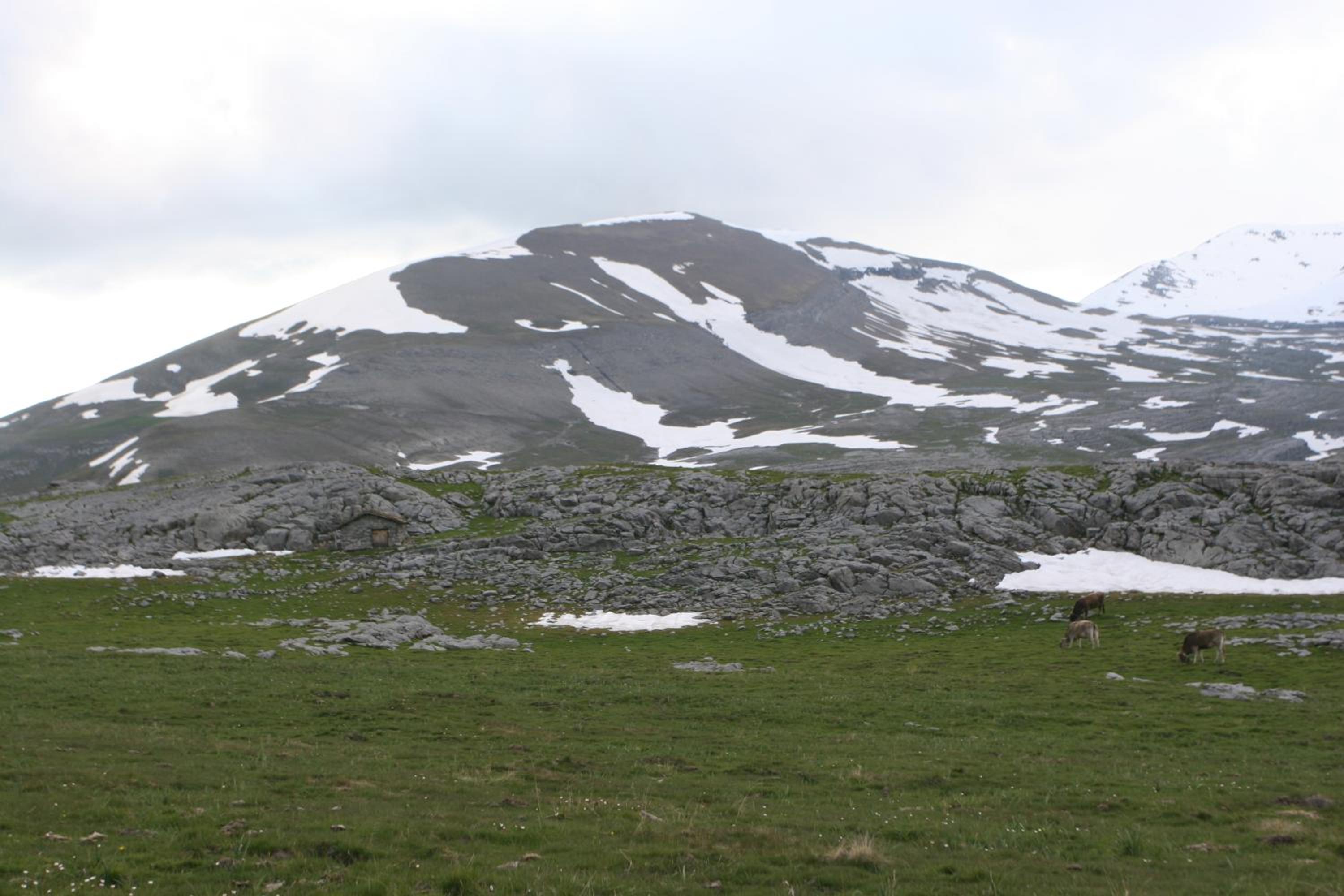Photo 37