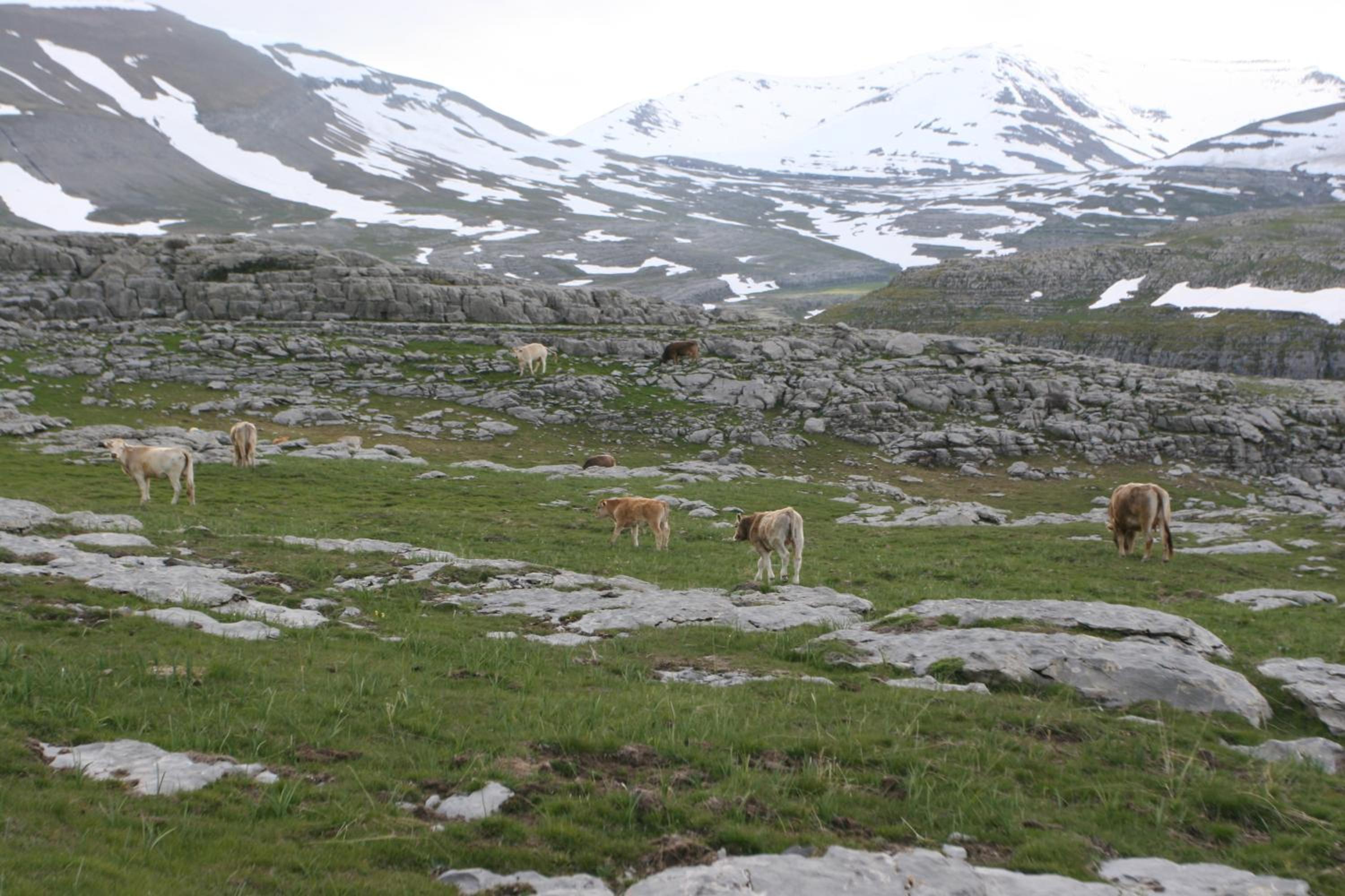 Photo 40
