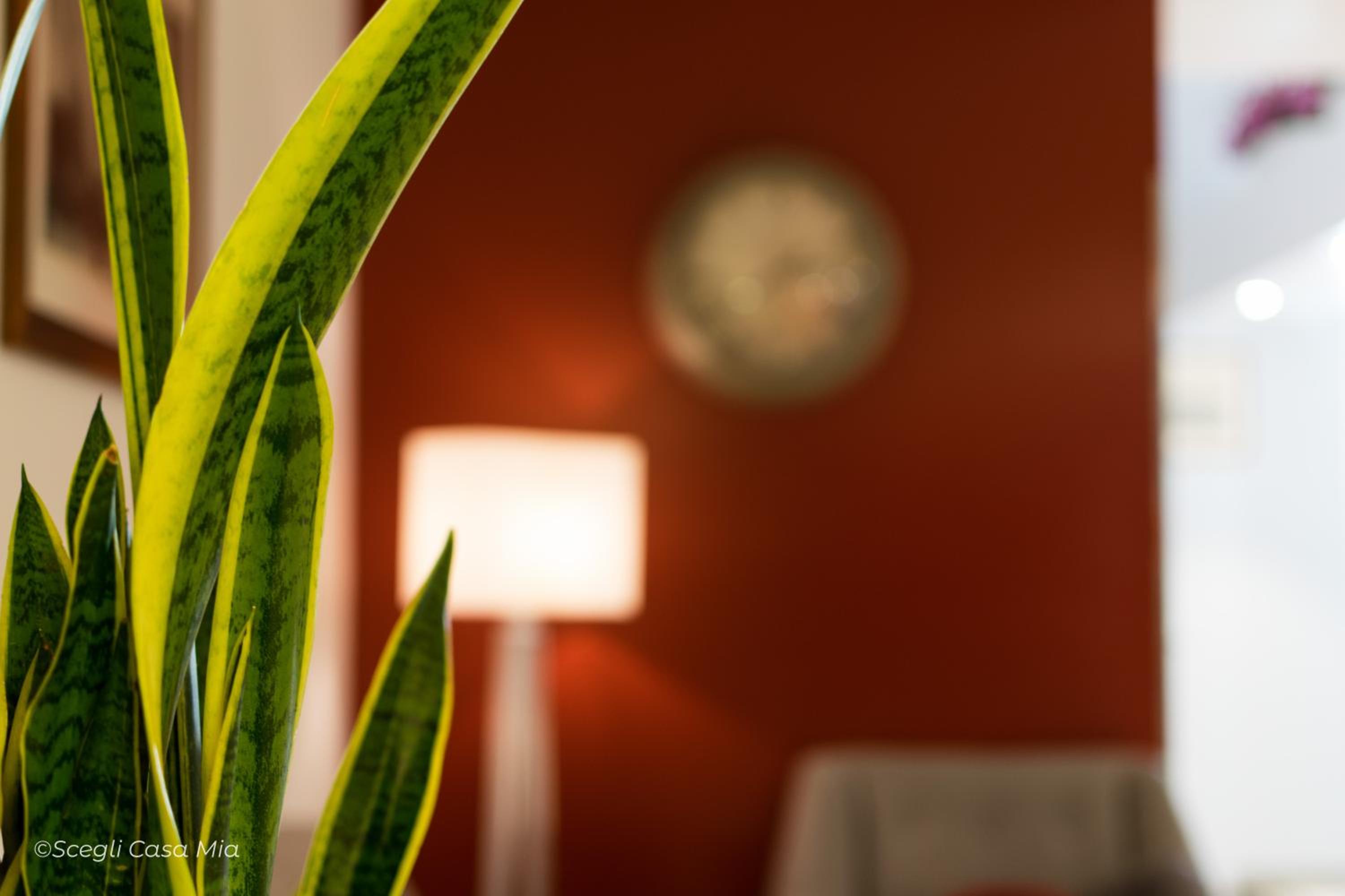 Ottocento Guest House