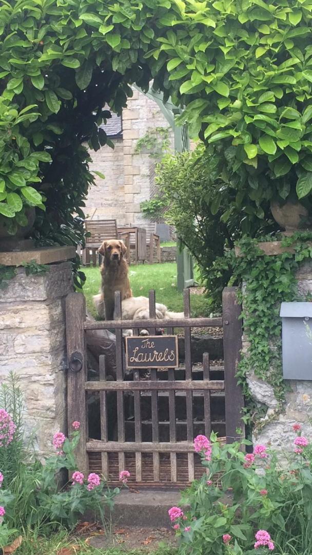 Glastonbury Vacations - The Old General Store At The Laurels - Property Image 6