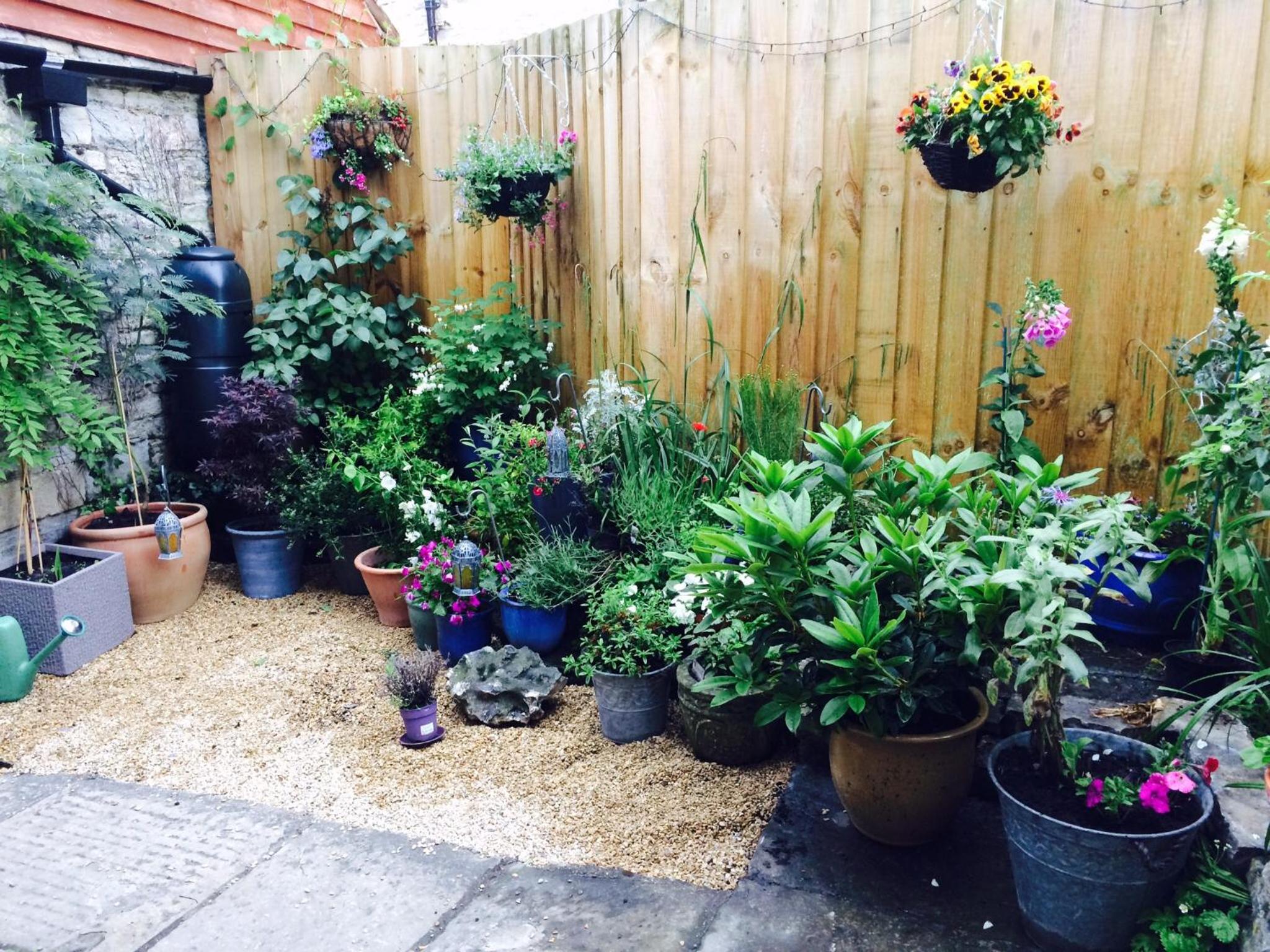 Glastonbury Vacations - The Old General Store At The Laurels - Property Image 11