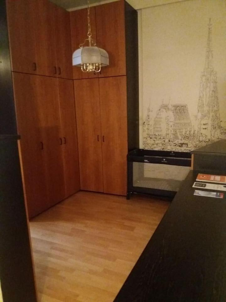 Geräumige zentrumsnahe Altbauwohnung
