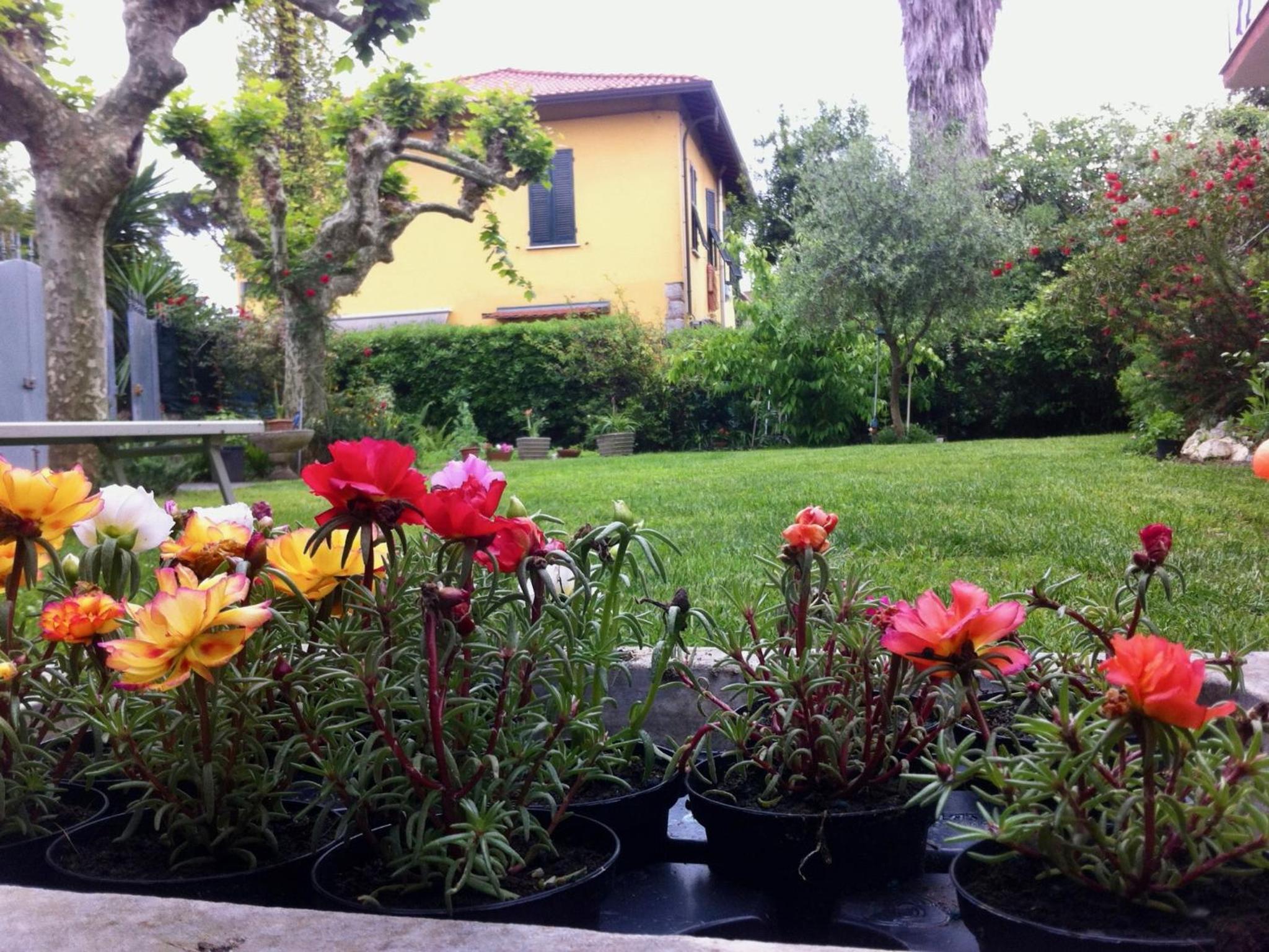 La Casina view 5