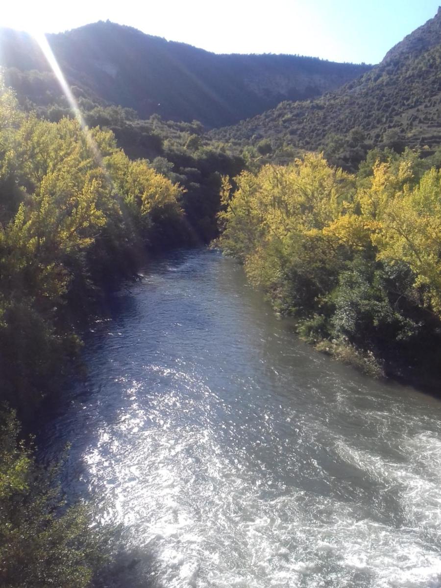Photo 52