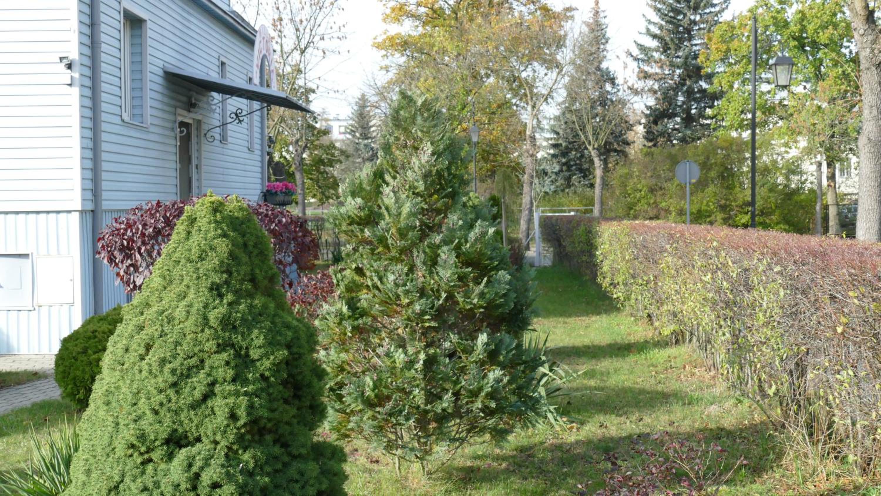 Photo 16