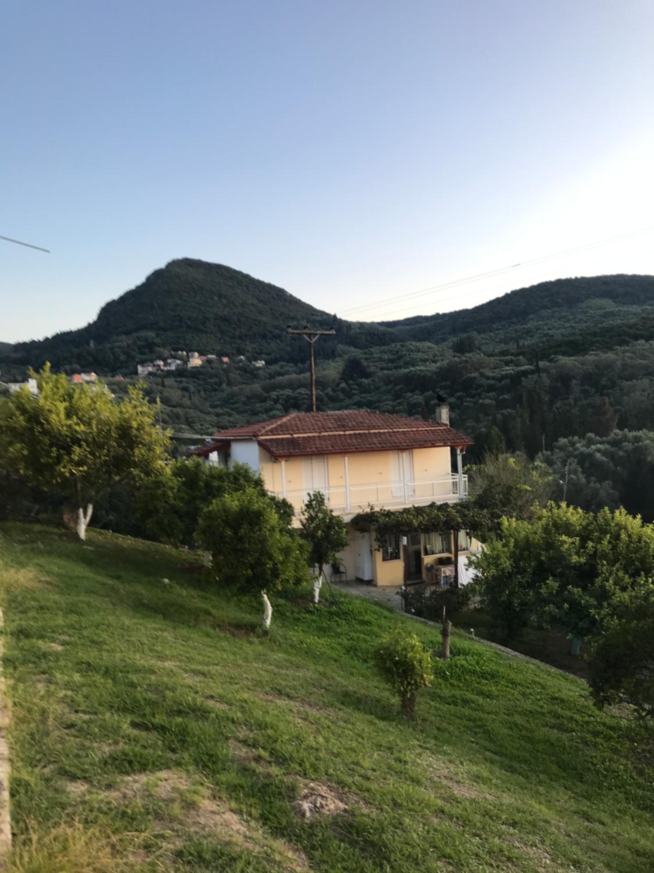 Vlassis Studios photo 2