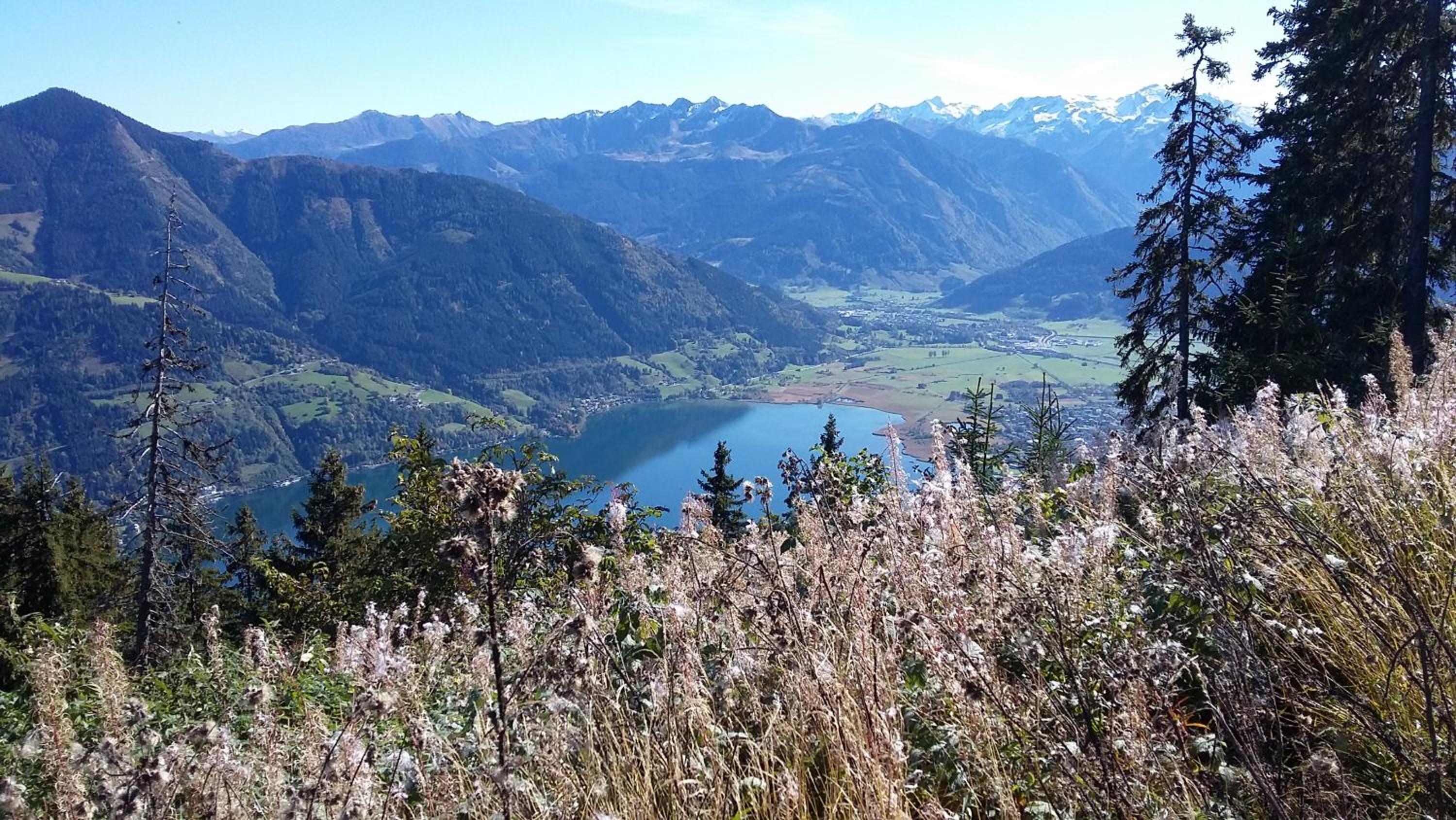 Photo 44