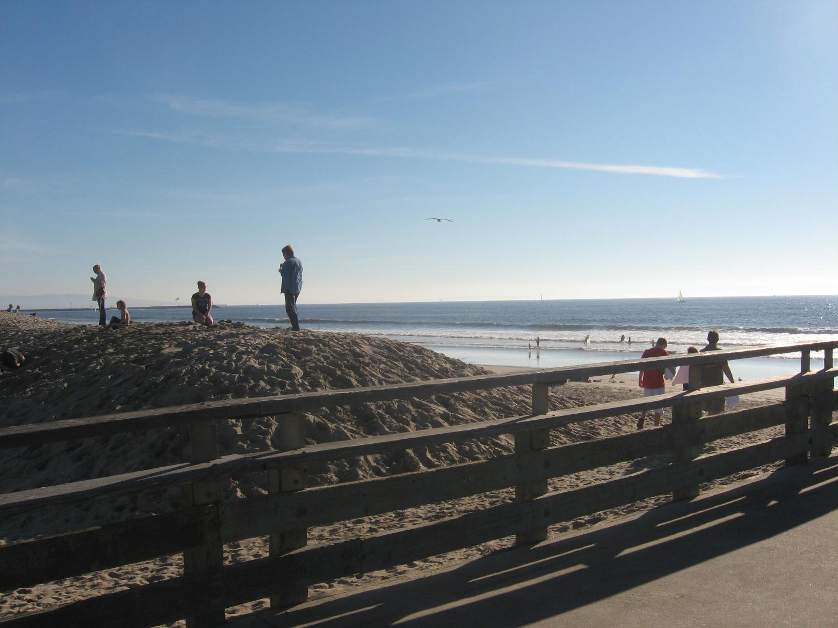 Venice Beach Gem