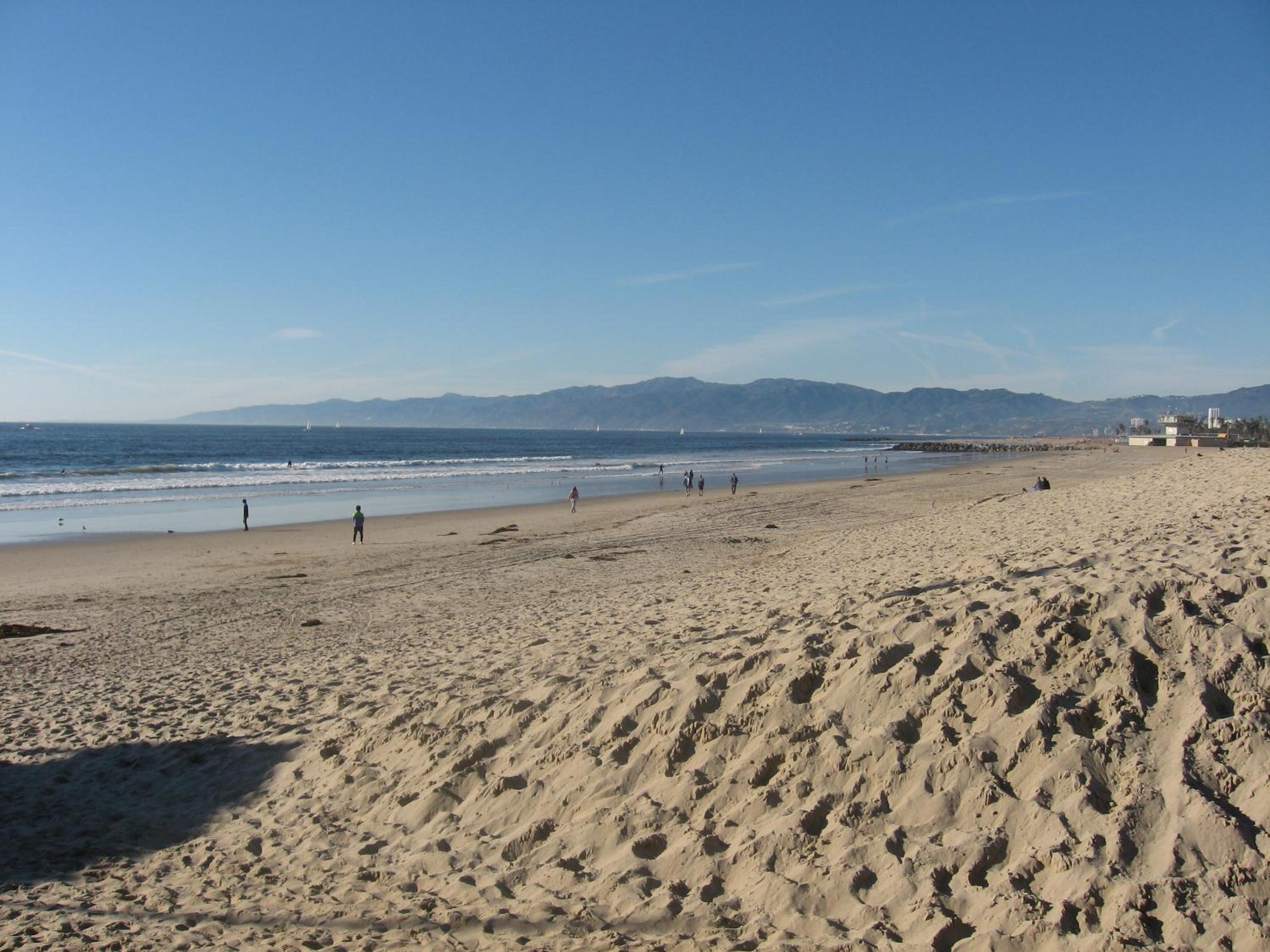 Venice Beach Gem
