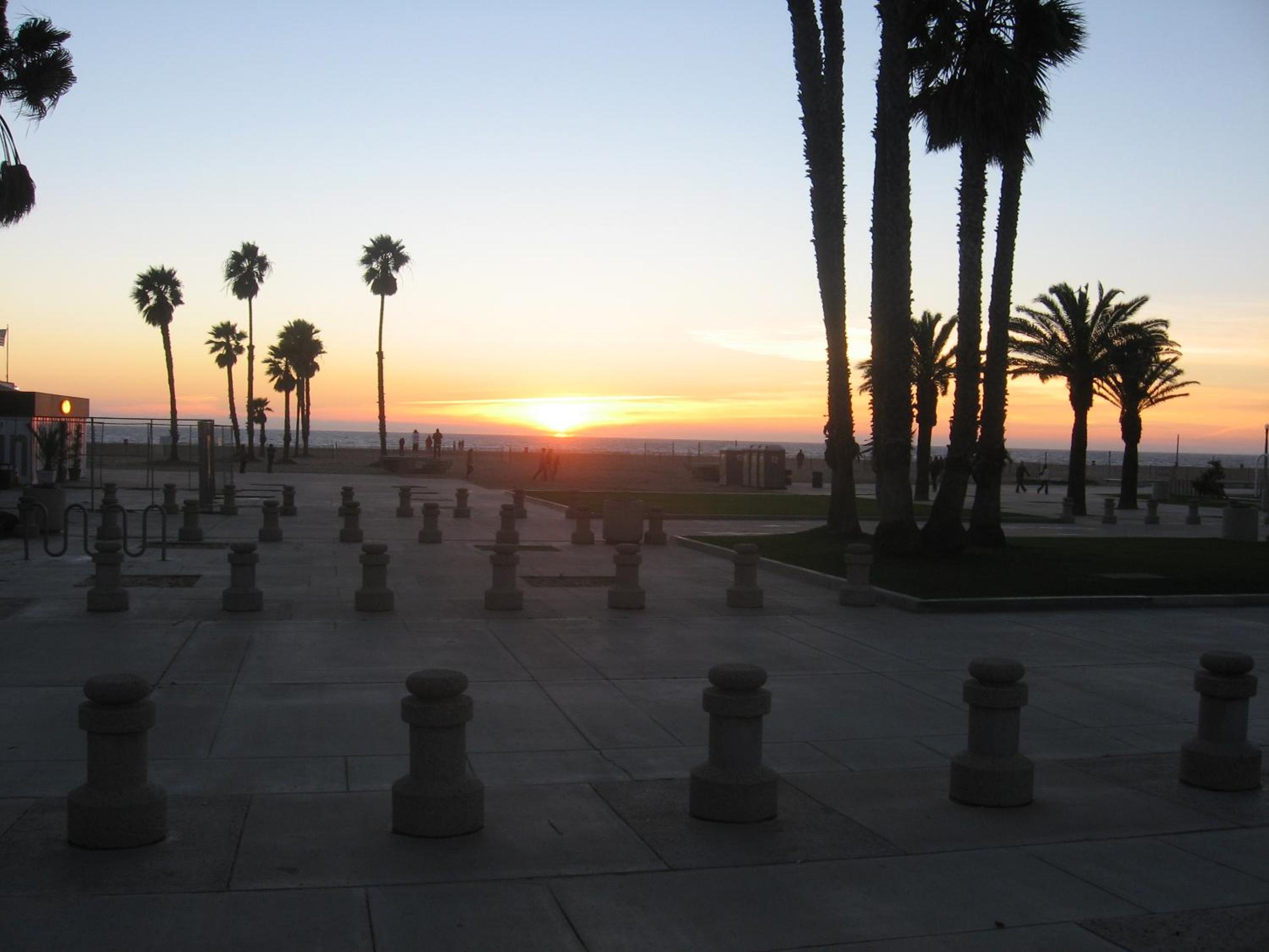 Venice Beach Gem