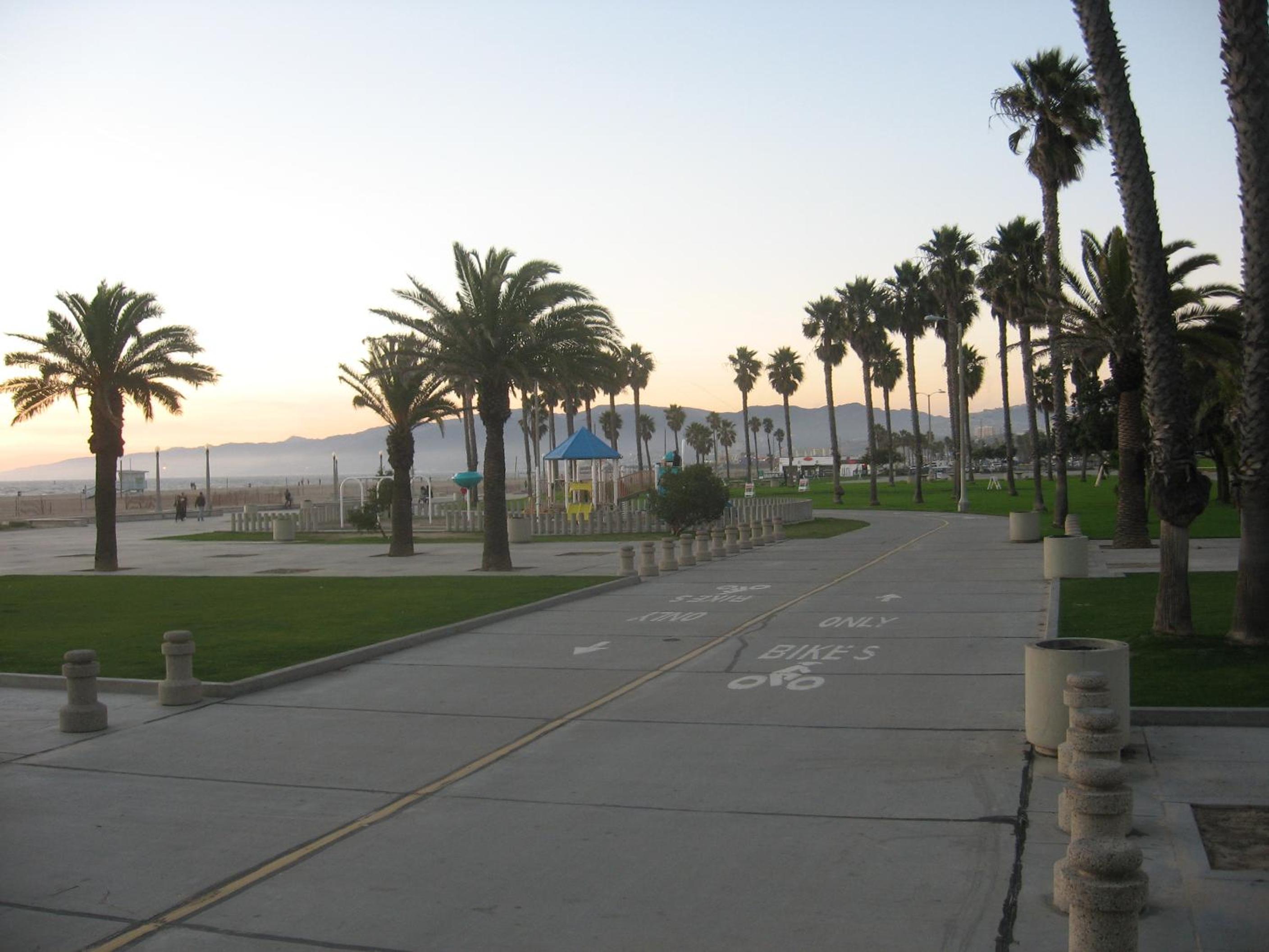 Venice Beach Gem