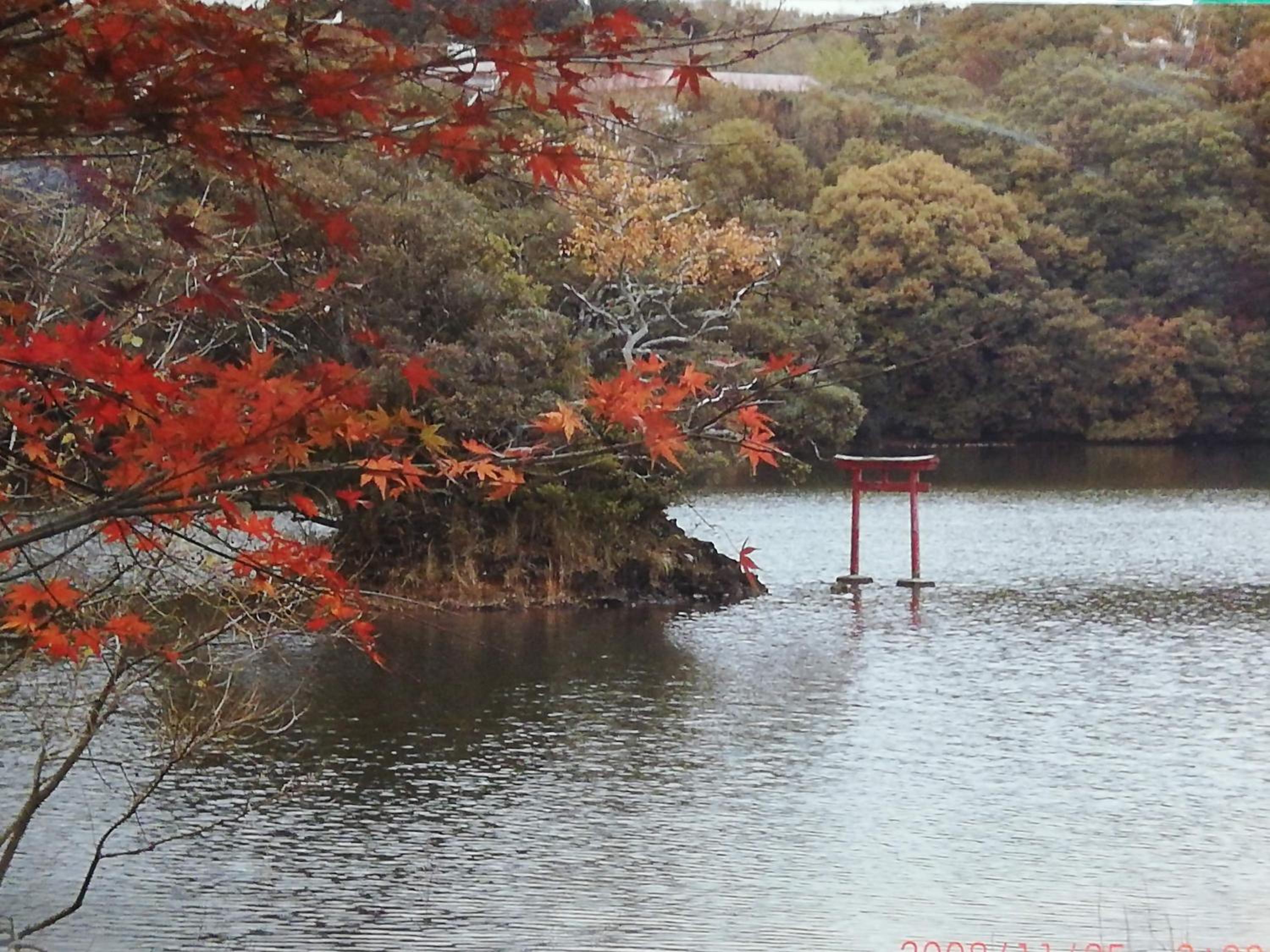 Photo 43