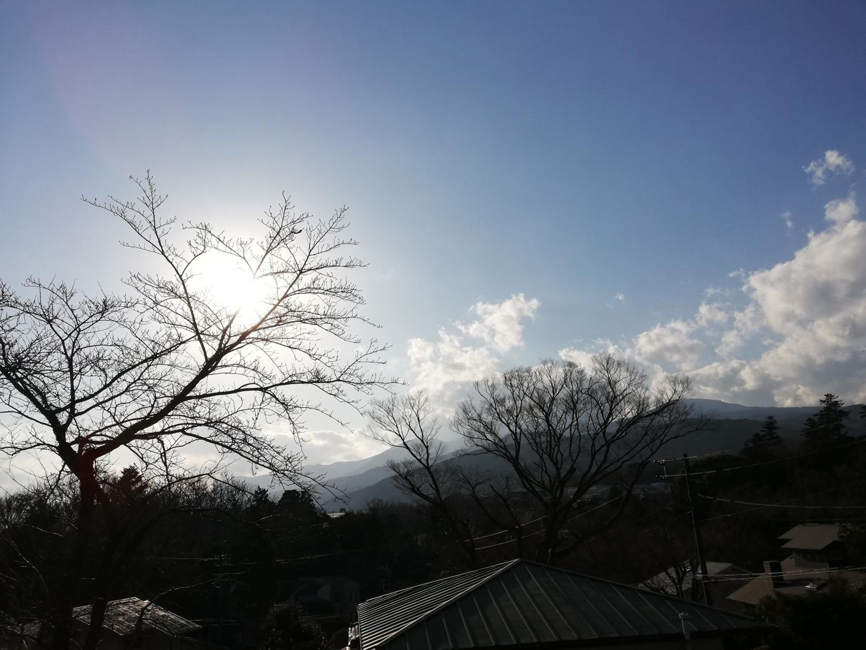 Photo 51