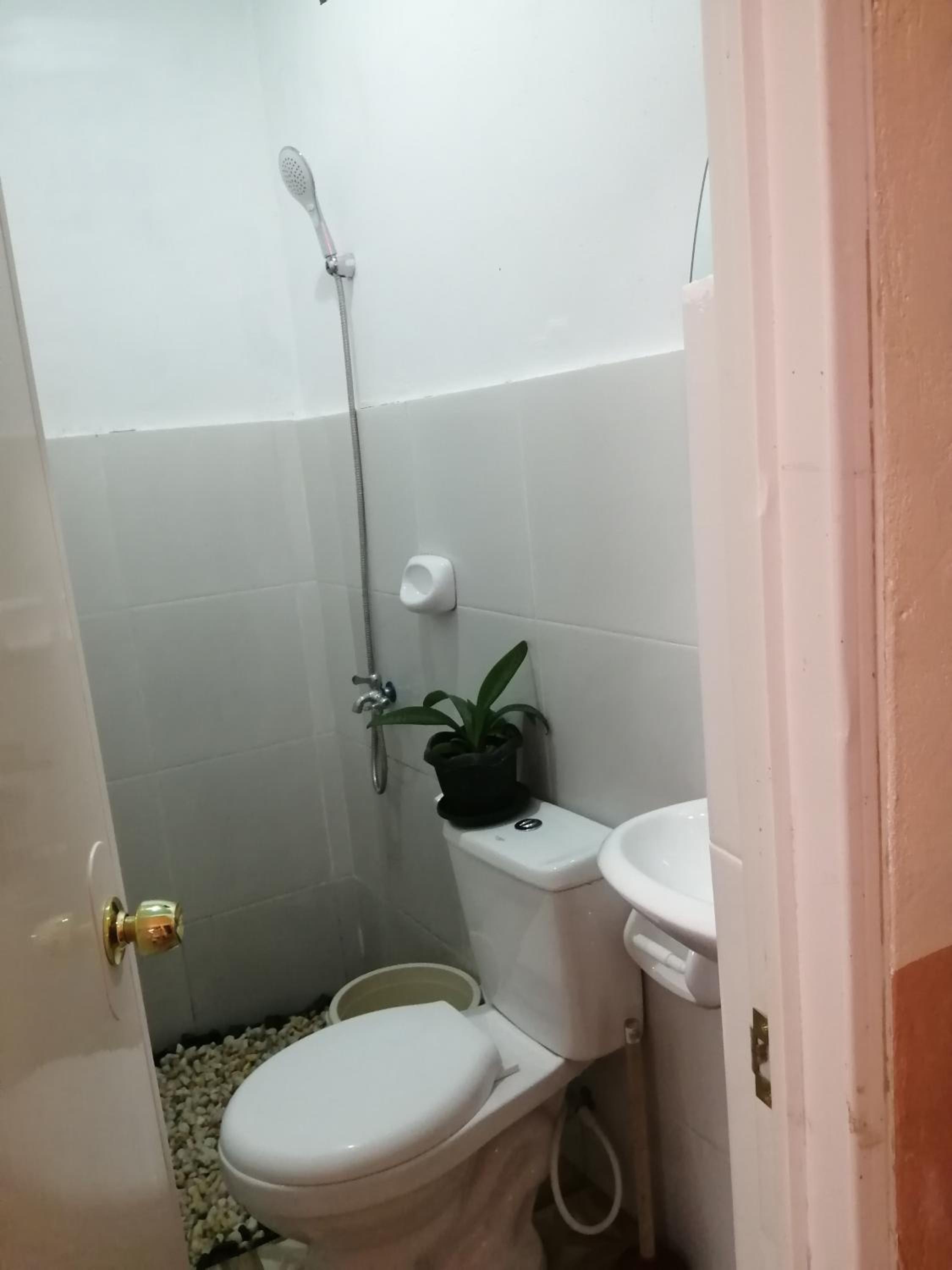 Photo 38