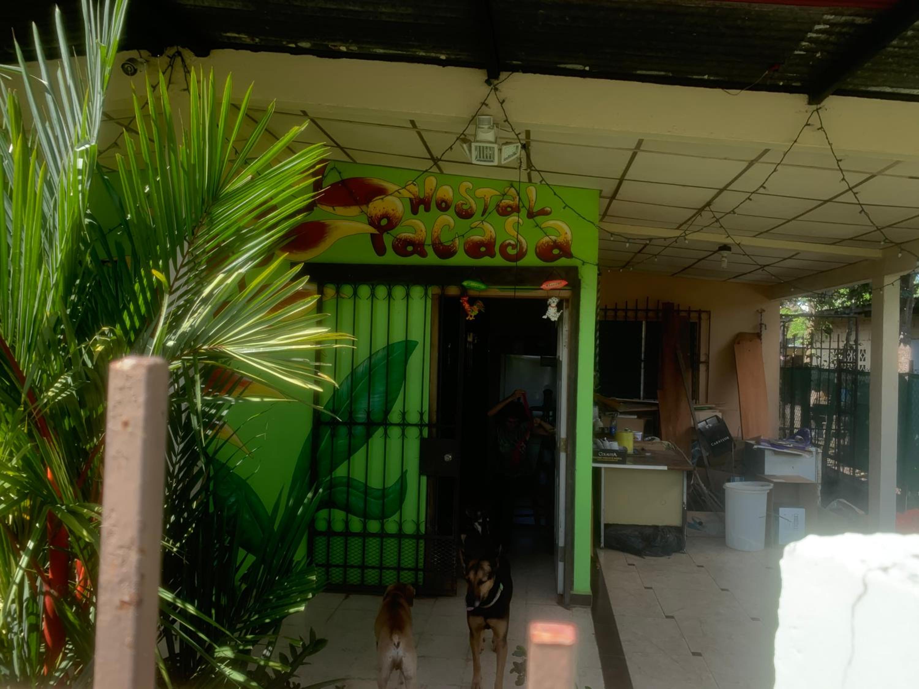 PaCasa Hostel, photo 65