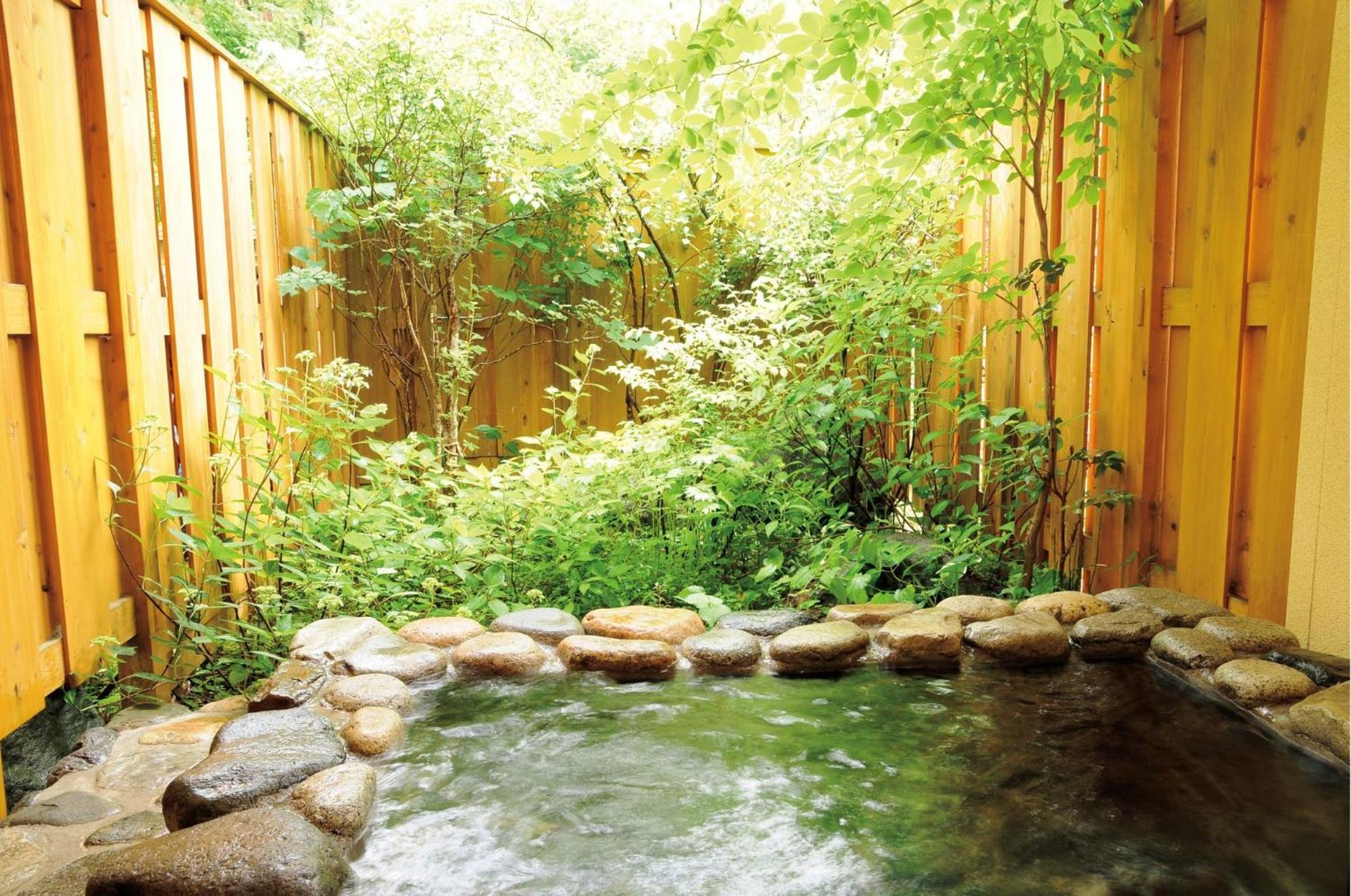 Anise Garden view 2