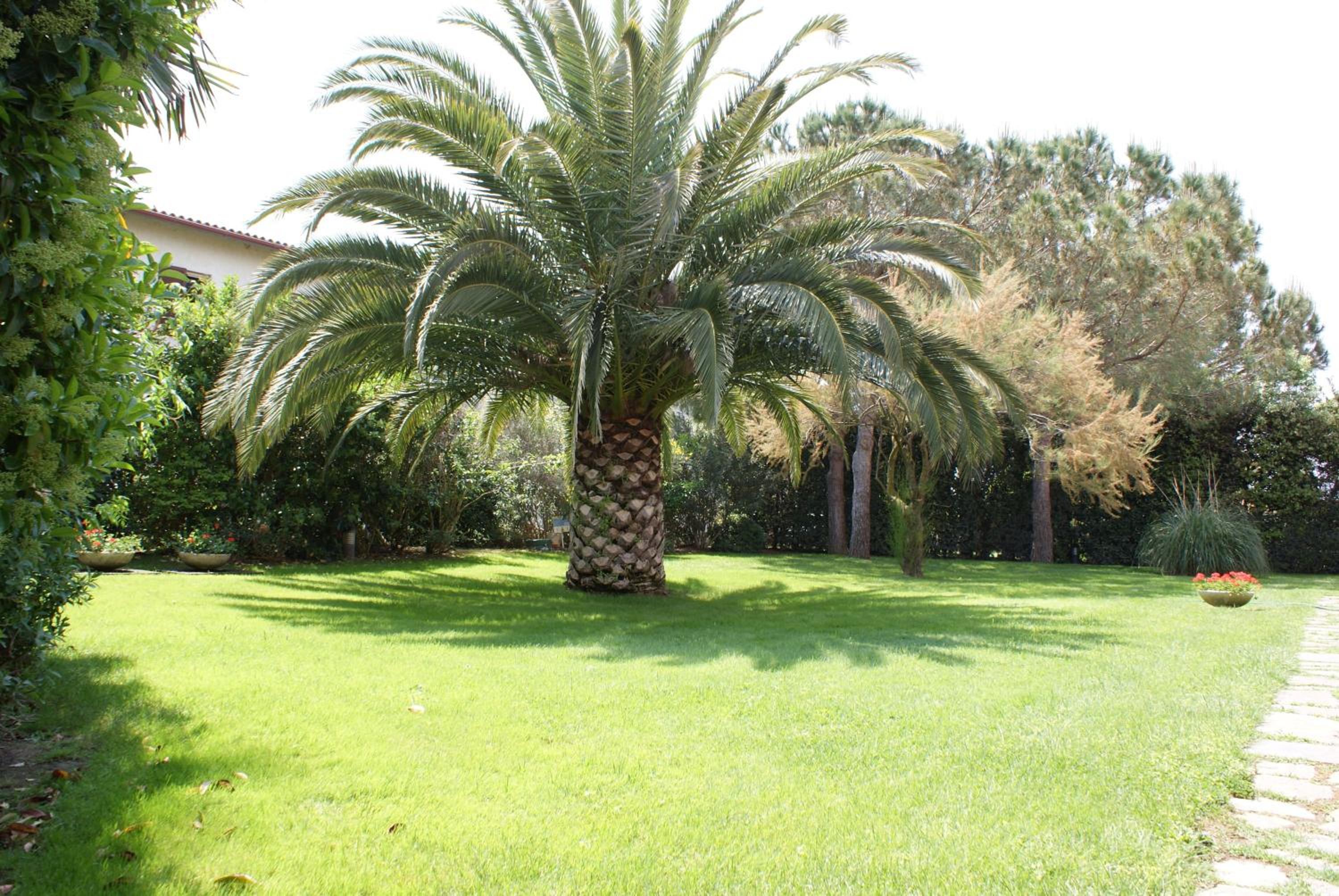 Agriturismo Le Spighe