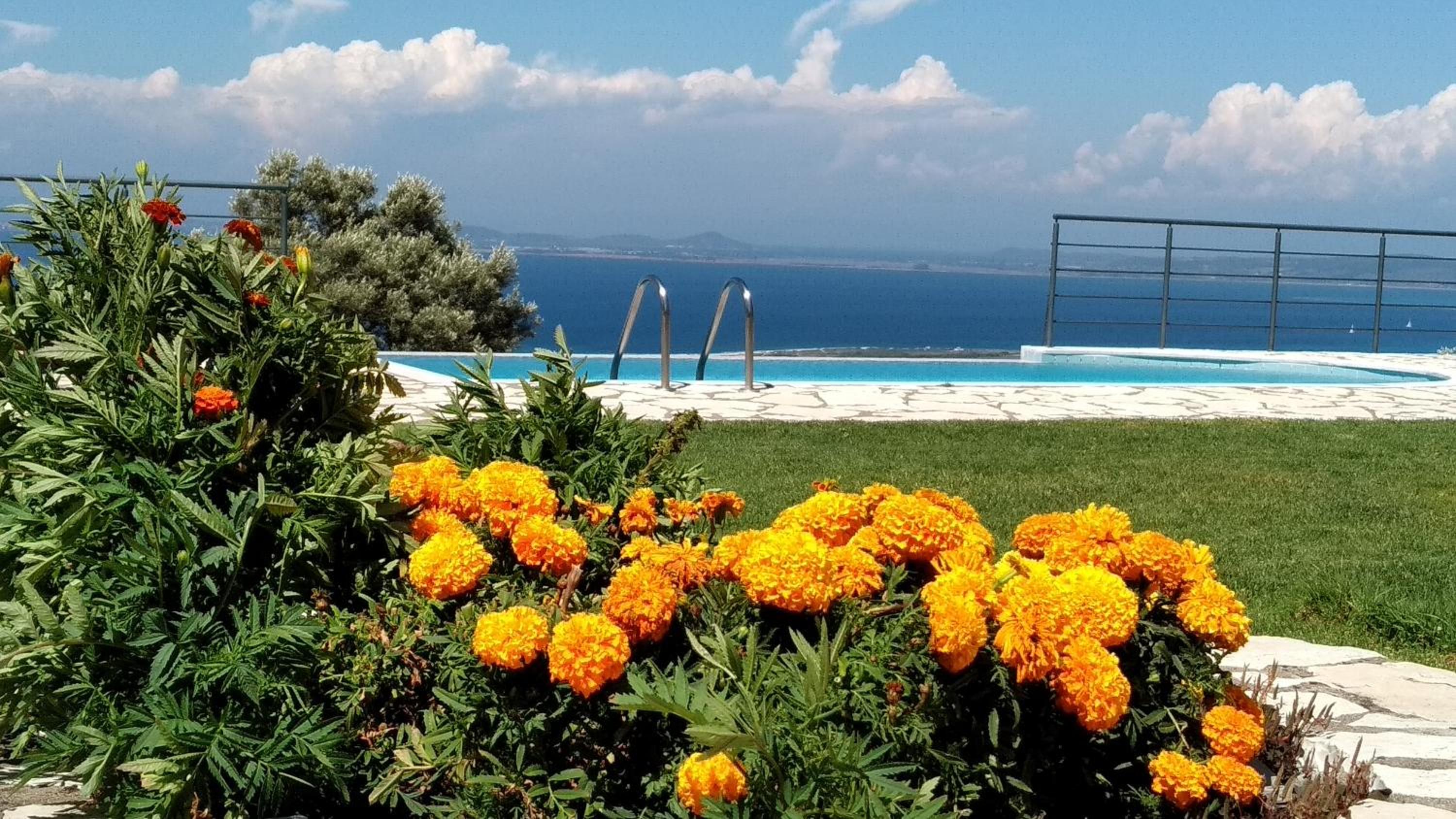 Villa Stamata photo 4