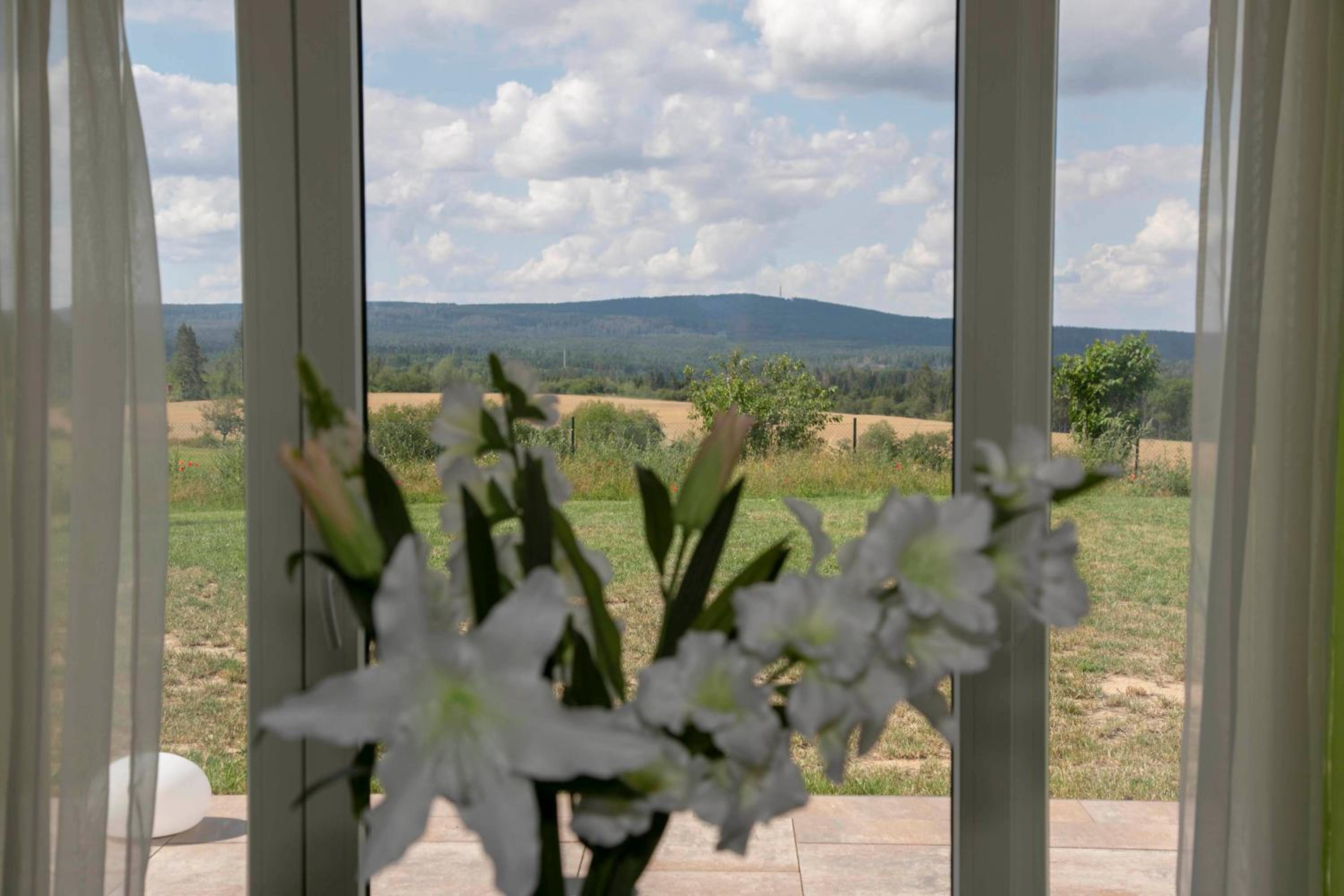 Design Apartment Harz-Relax