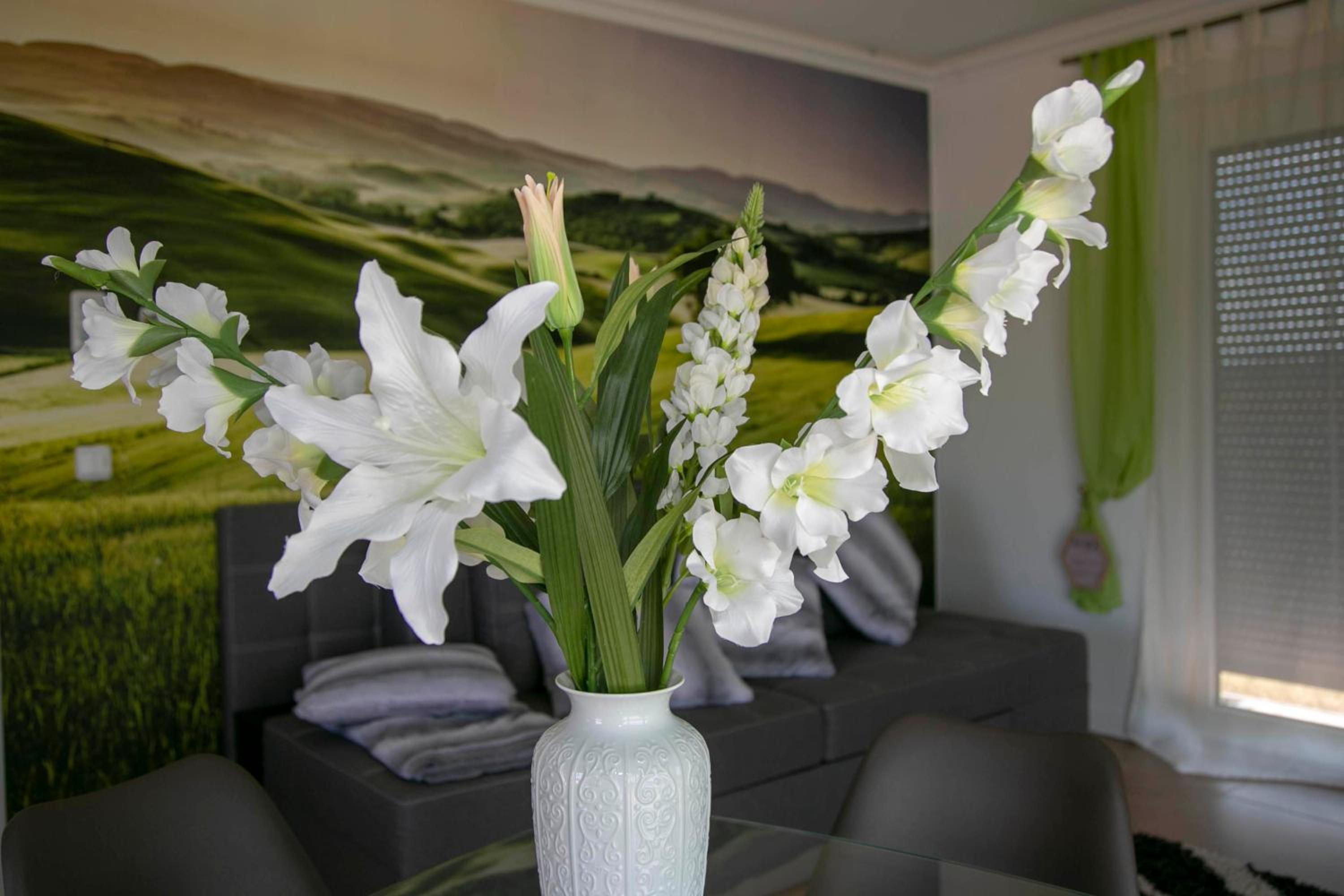 Design Apartment Harz-Relax