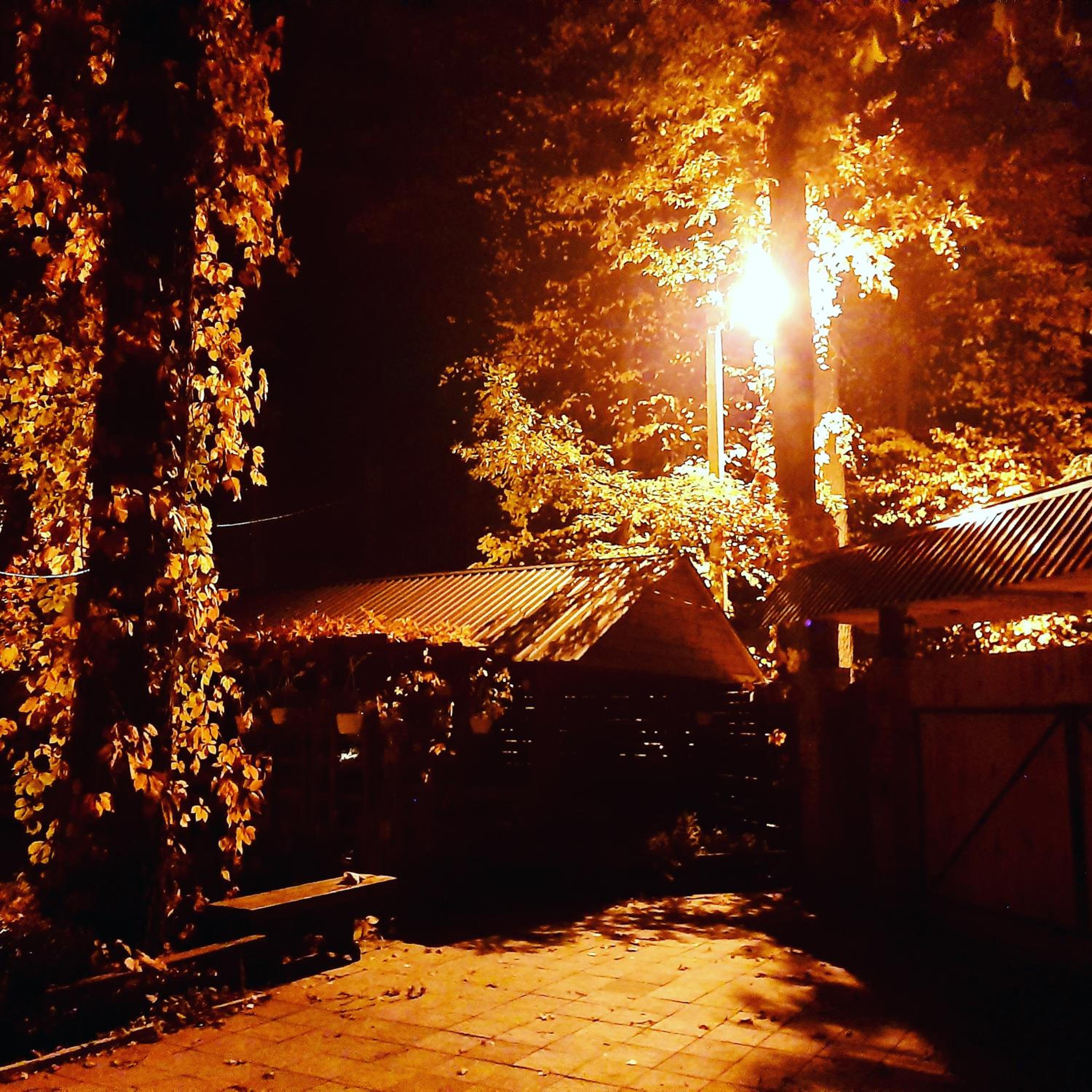 Veniki-Club view 4