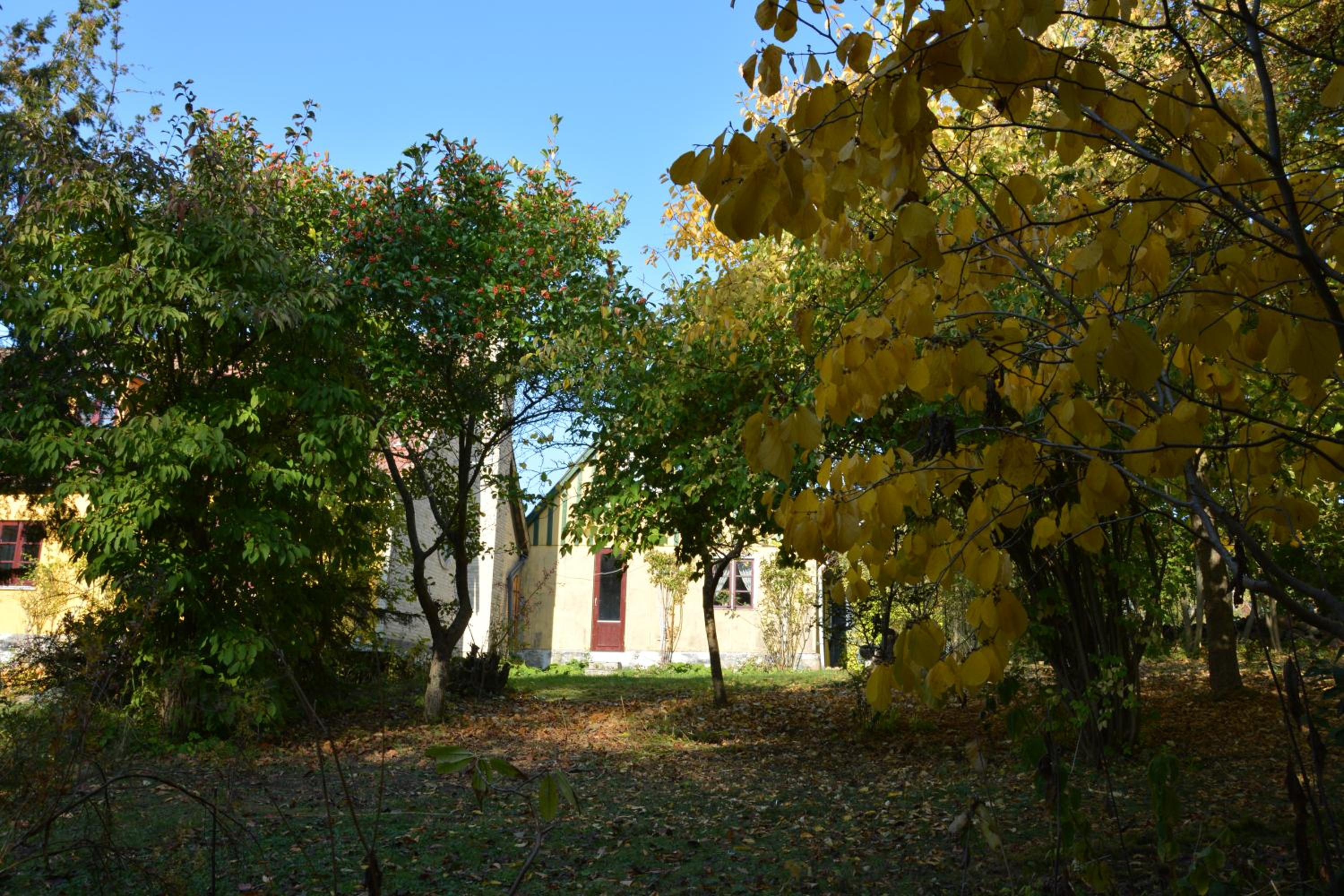 Photo 35