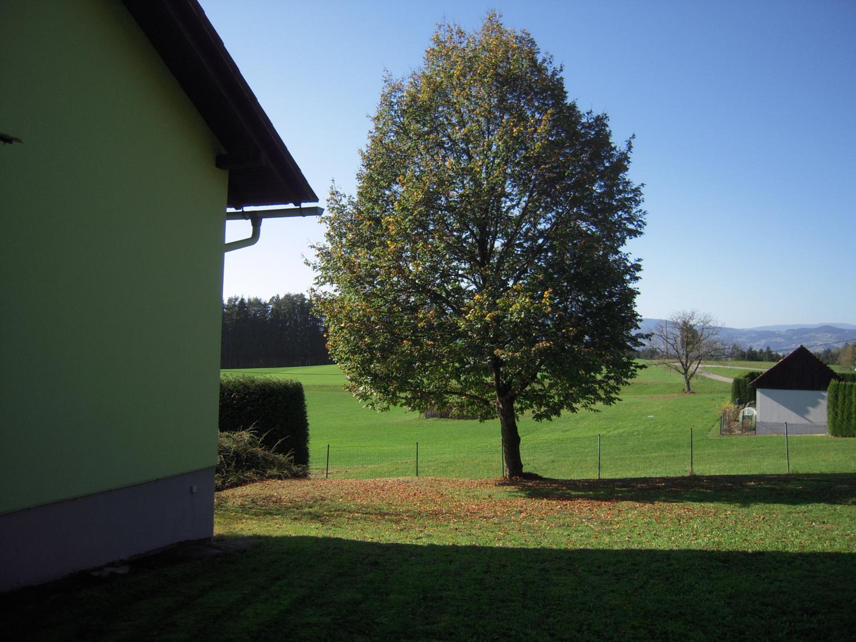 Haus Luisi