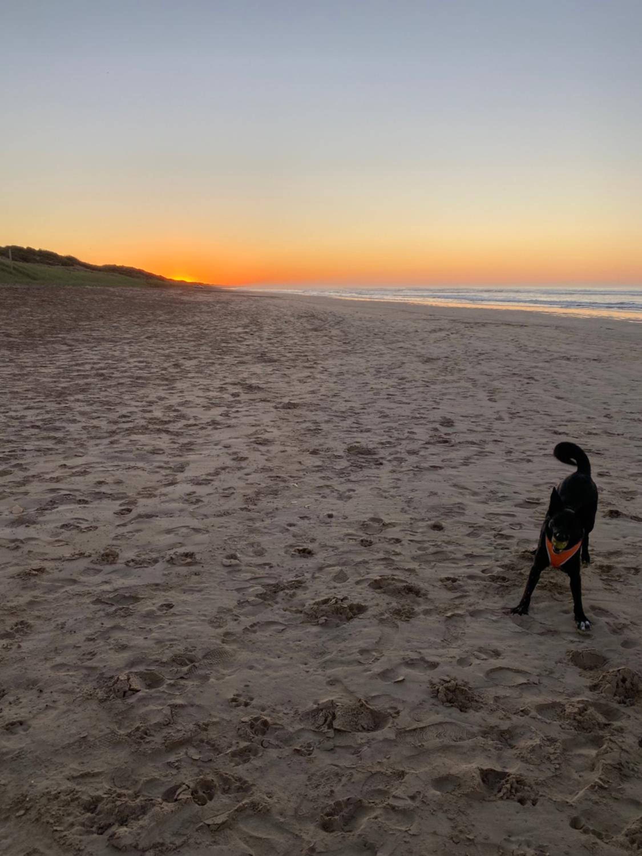Goolwa Mariner’s Cottage - Free Wifi and Pet Friendly - Centrally located in Historic Region