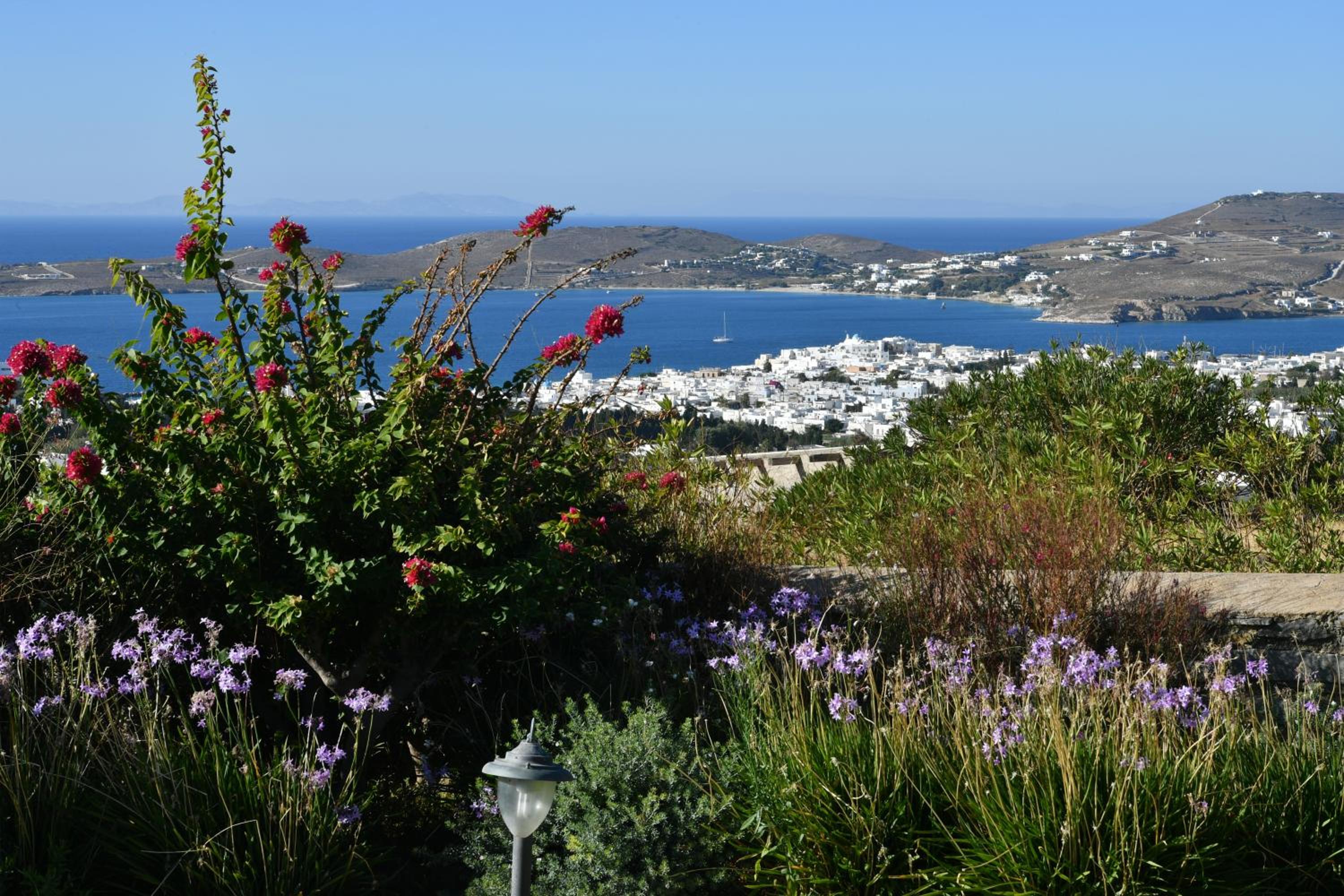 Anna-Marie 1 photo 5