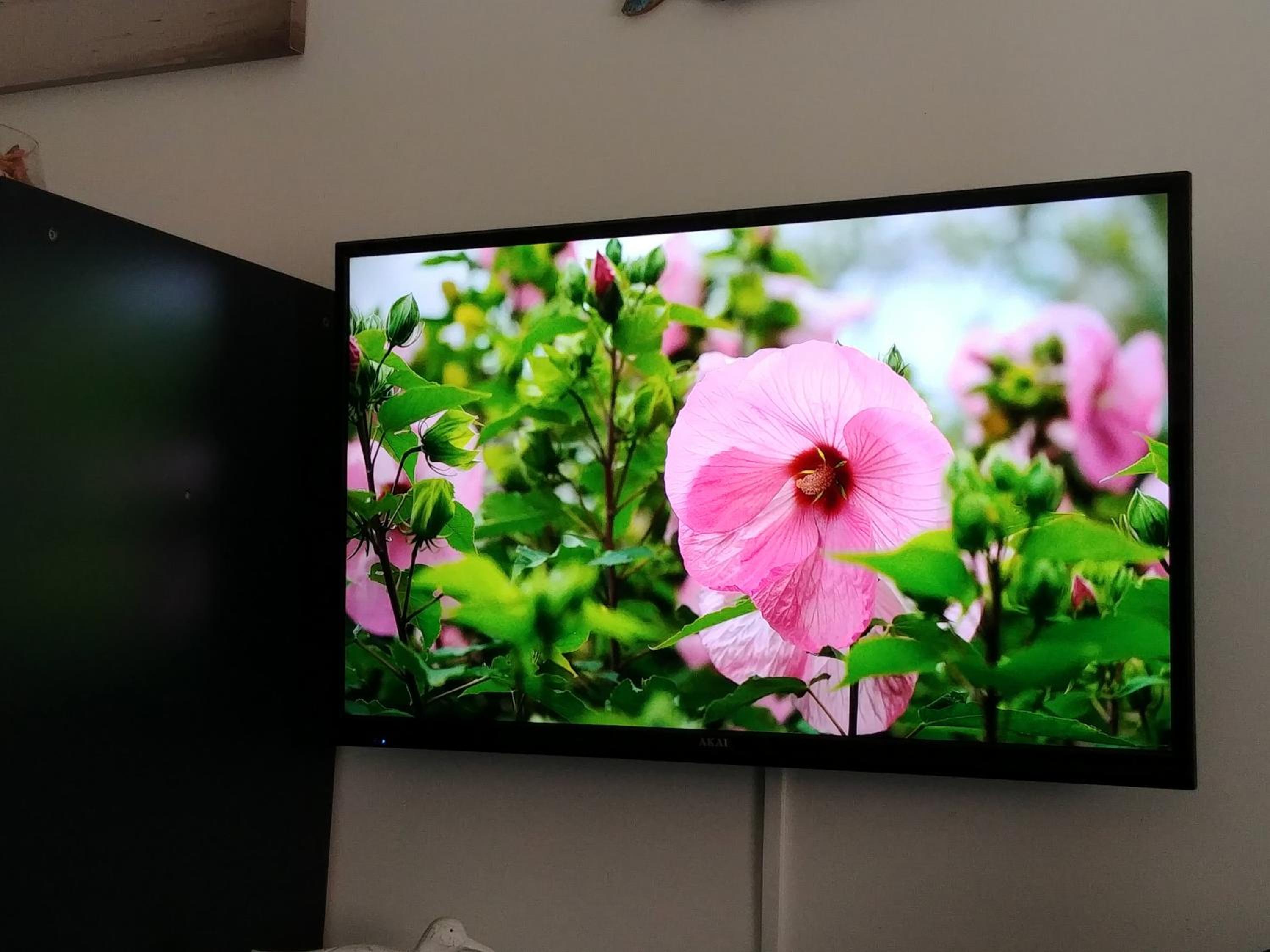 Cagliari Vacations - Miky M House BB - Property Image 34