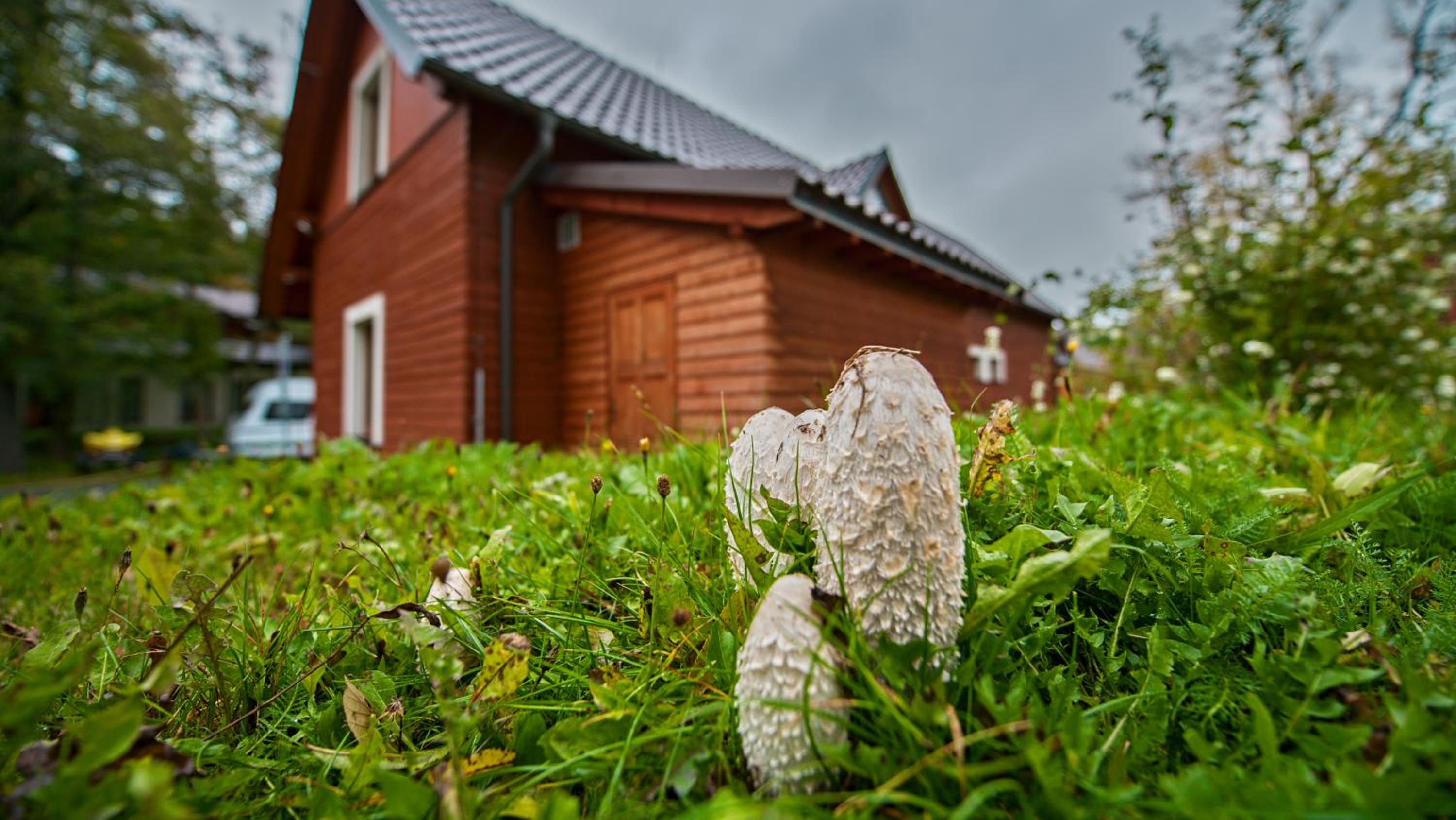 Apartmány Pod Čerťákem