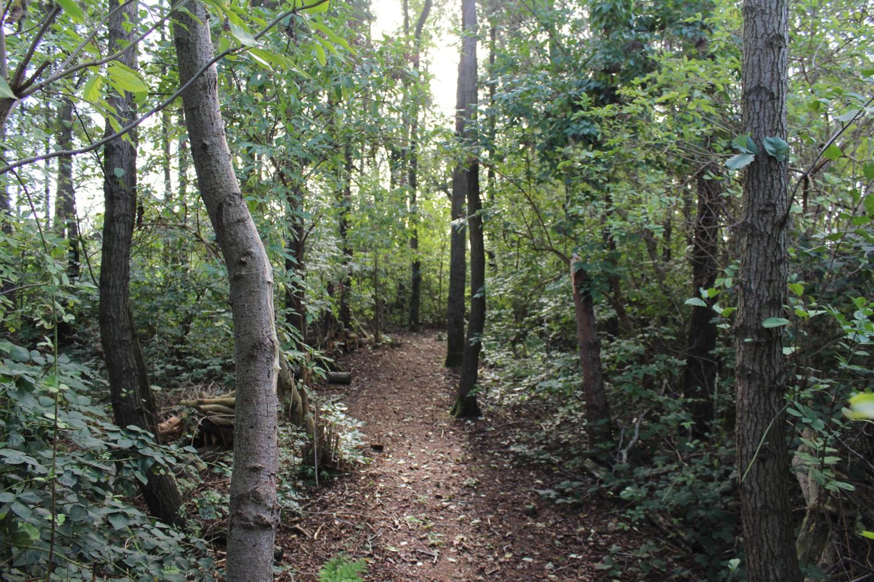 Photo 15