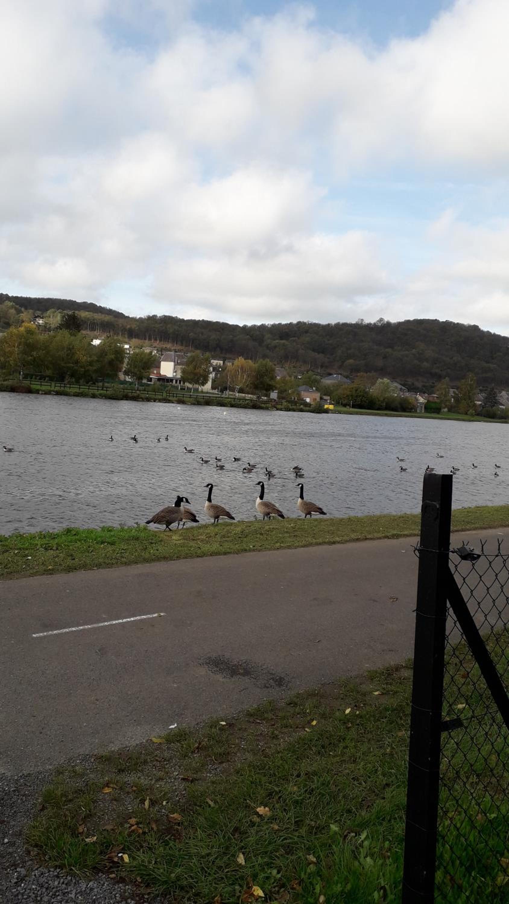 Photo 43