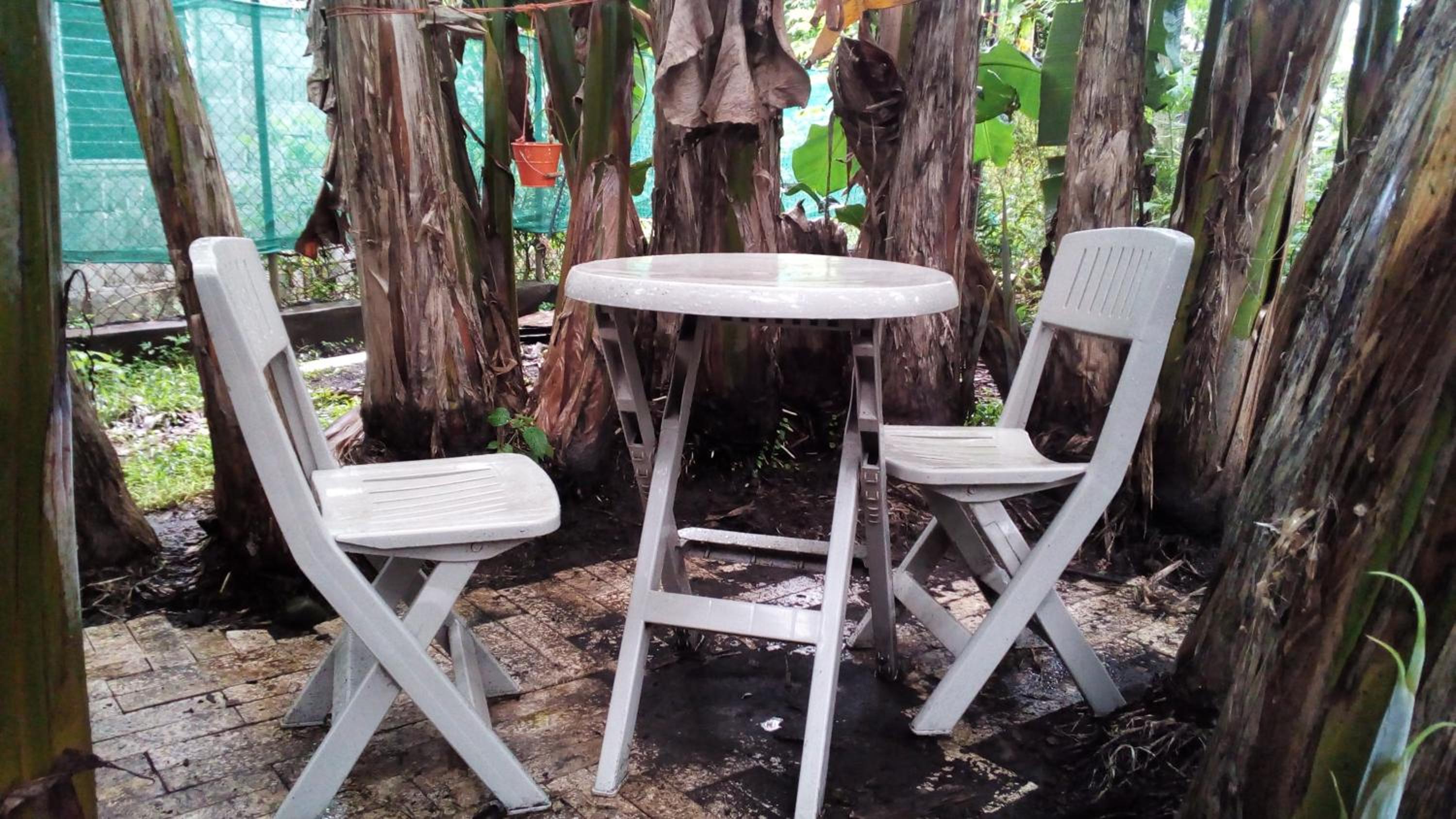 PaCasa Hostel, photo 55