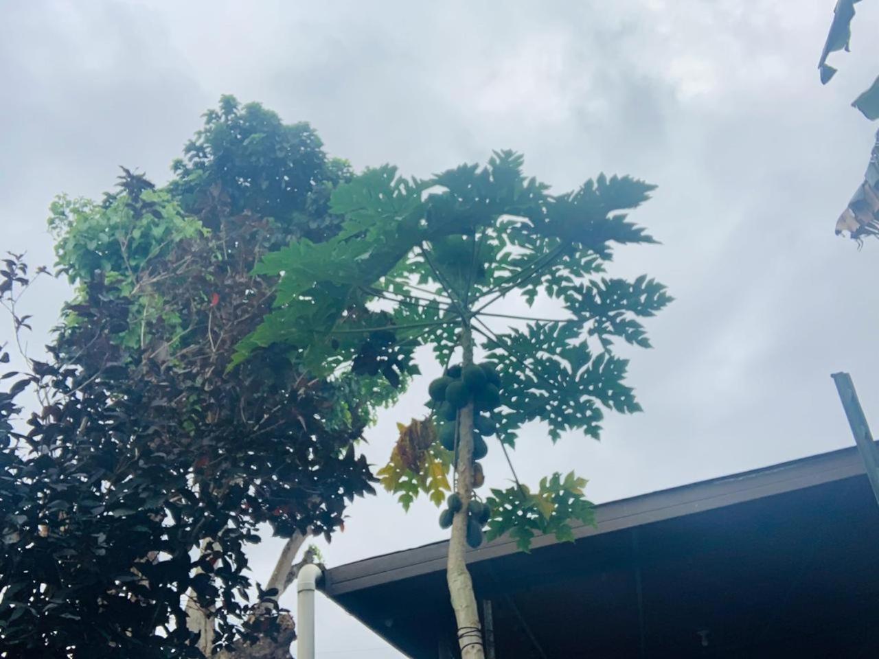 PaCasa Hostel, photo 59